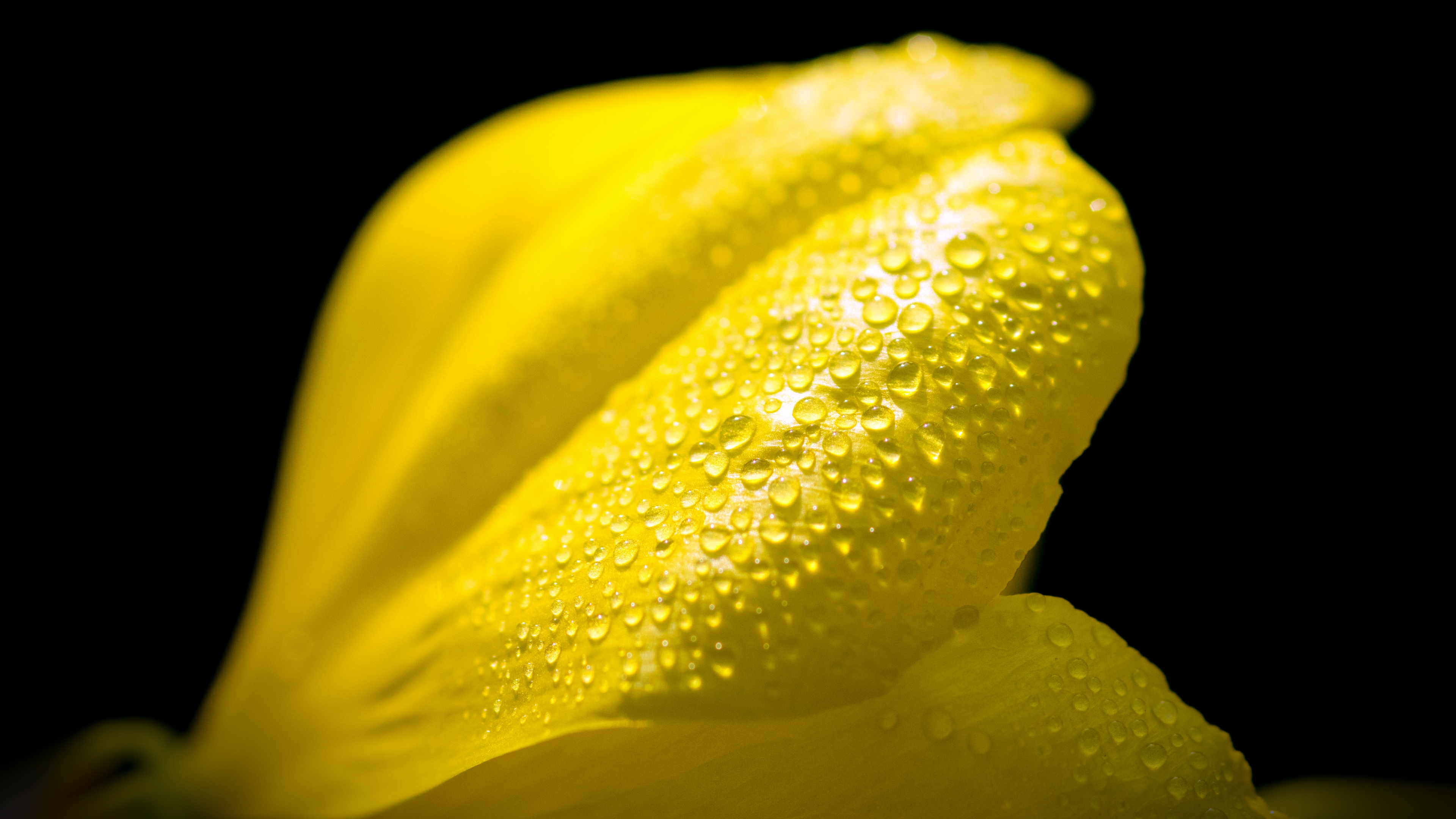 drop