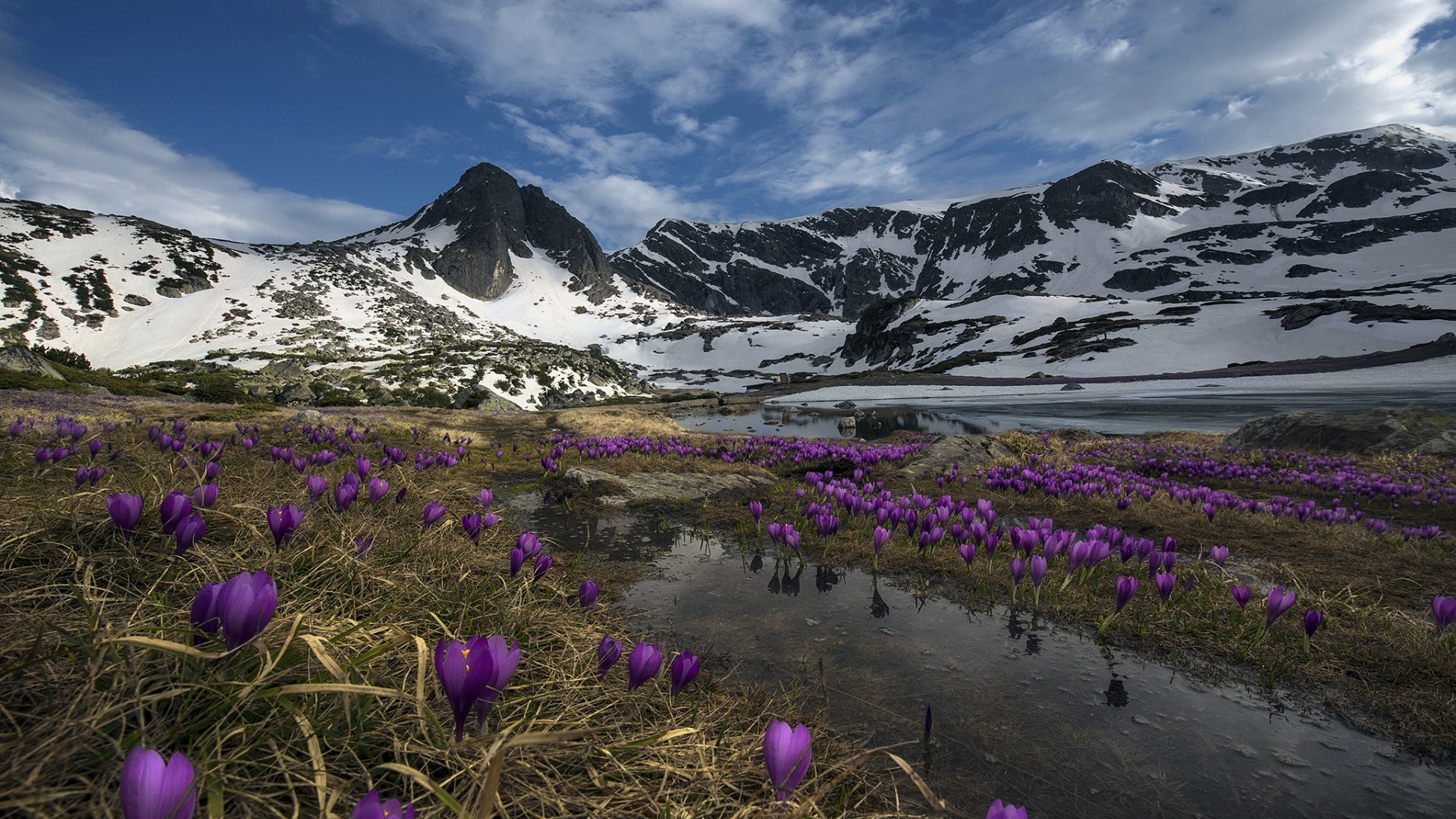 природа, гора, трава