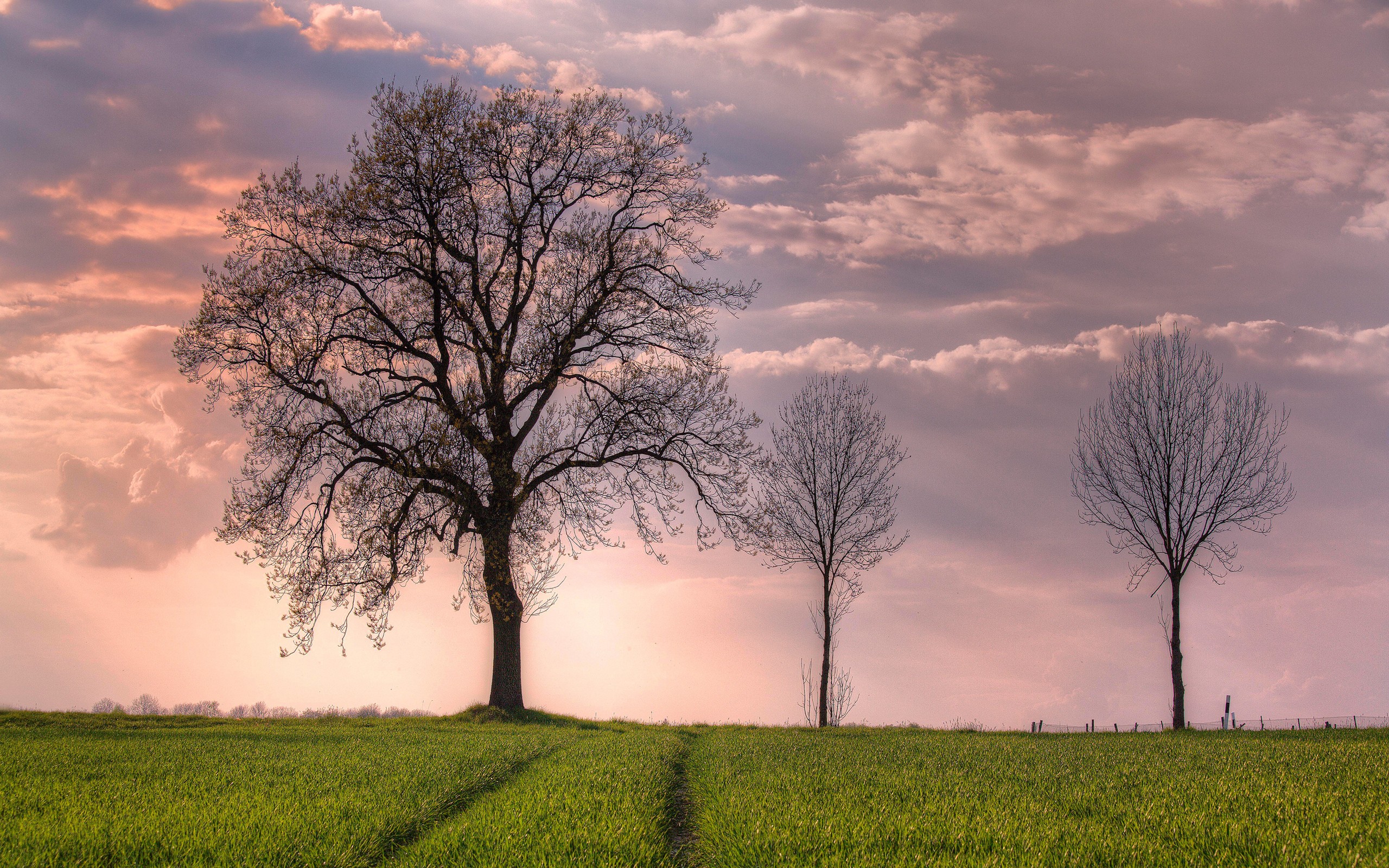 живые, инвестируют