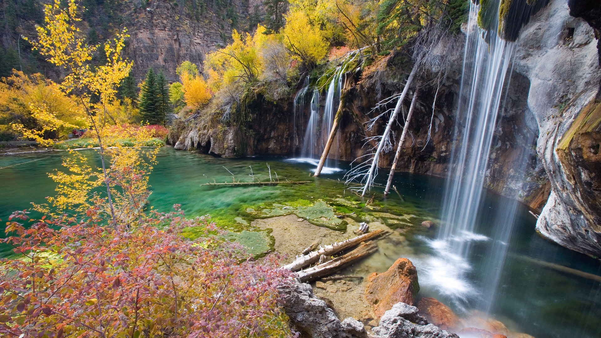 деревья, озеро, водопад