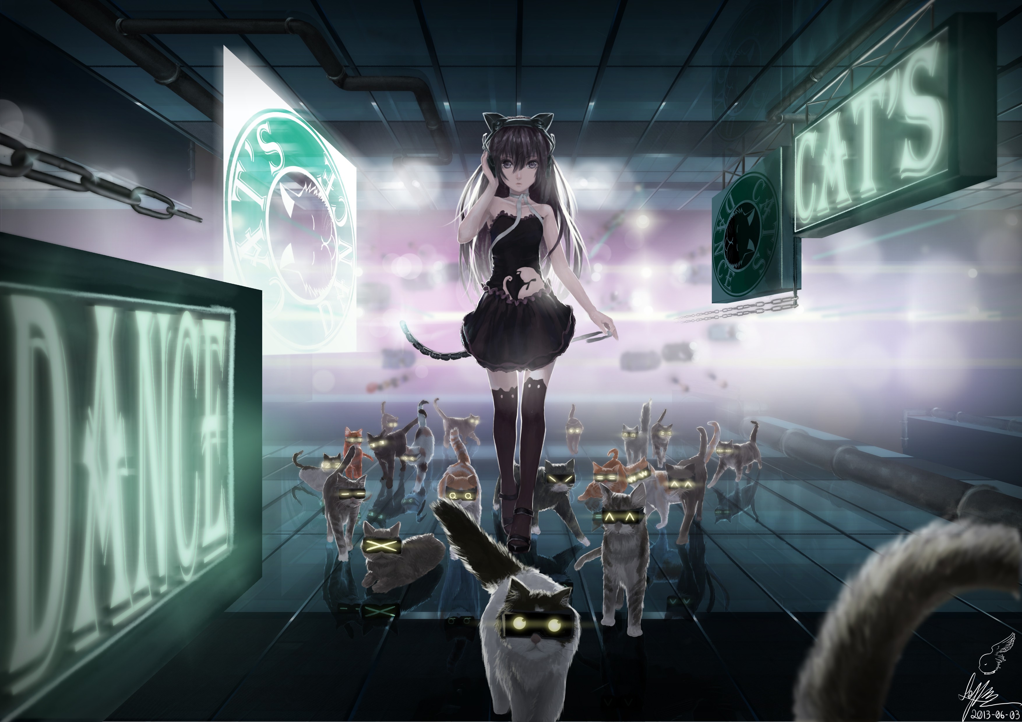 anim, девушка, кот