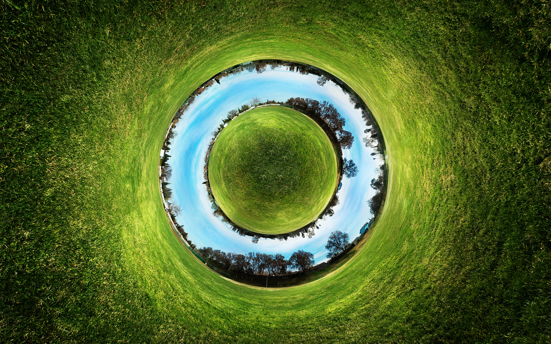 шар трава отражение ball grass reflection без смс