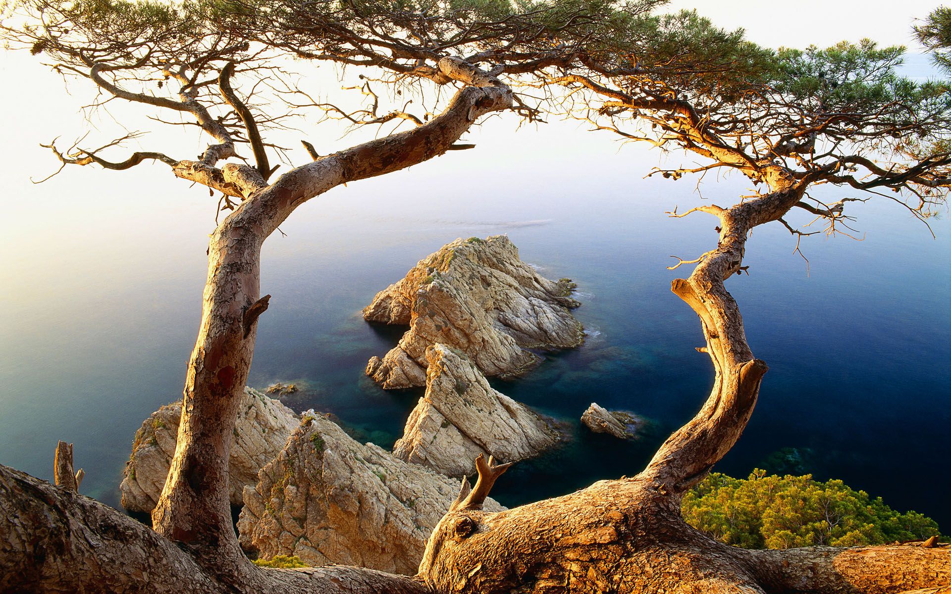 природа море деревья скалы nature sea trees rock бесплатно