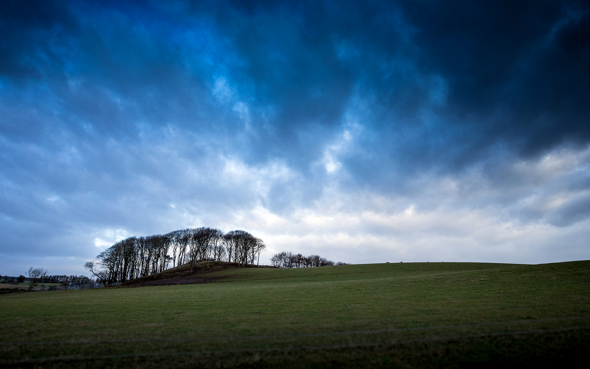 природа, ук, разные