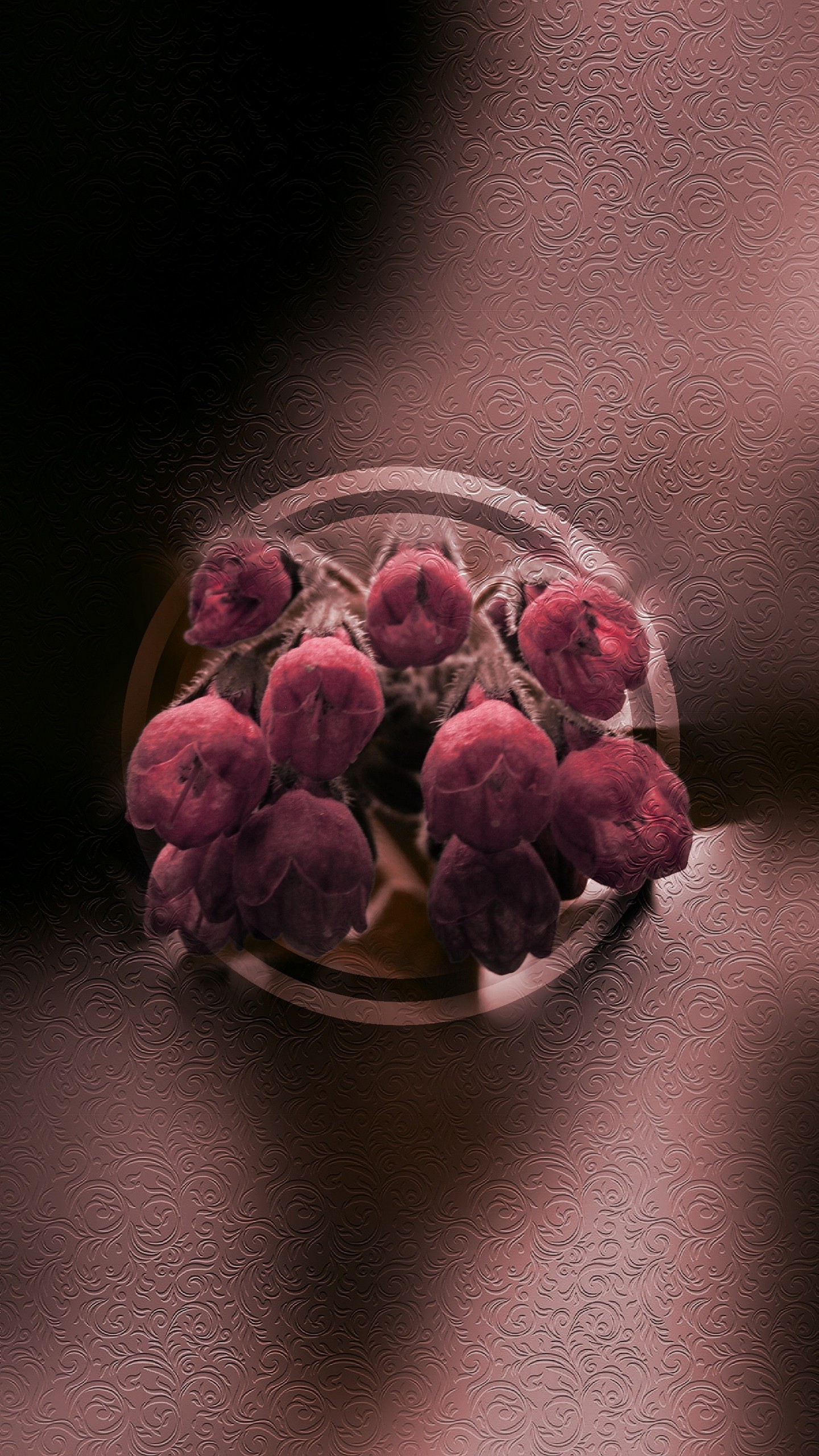 жизнь, еще фото