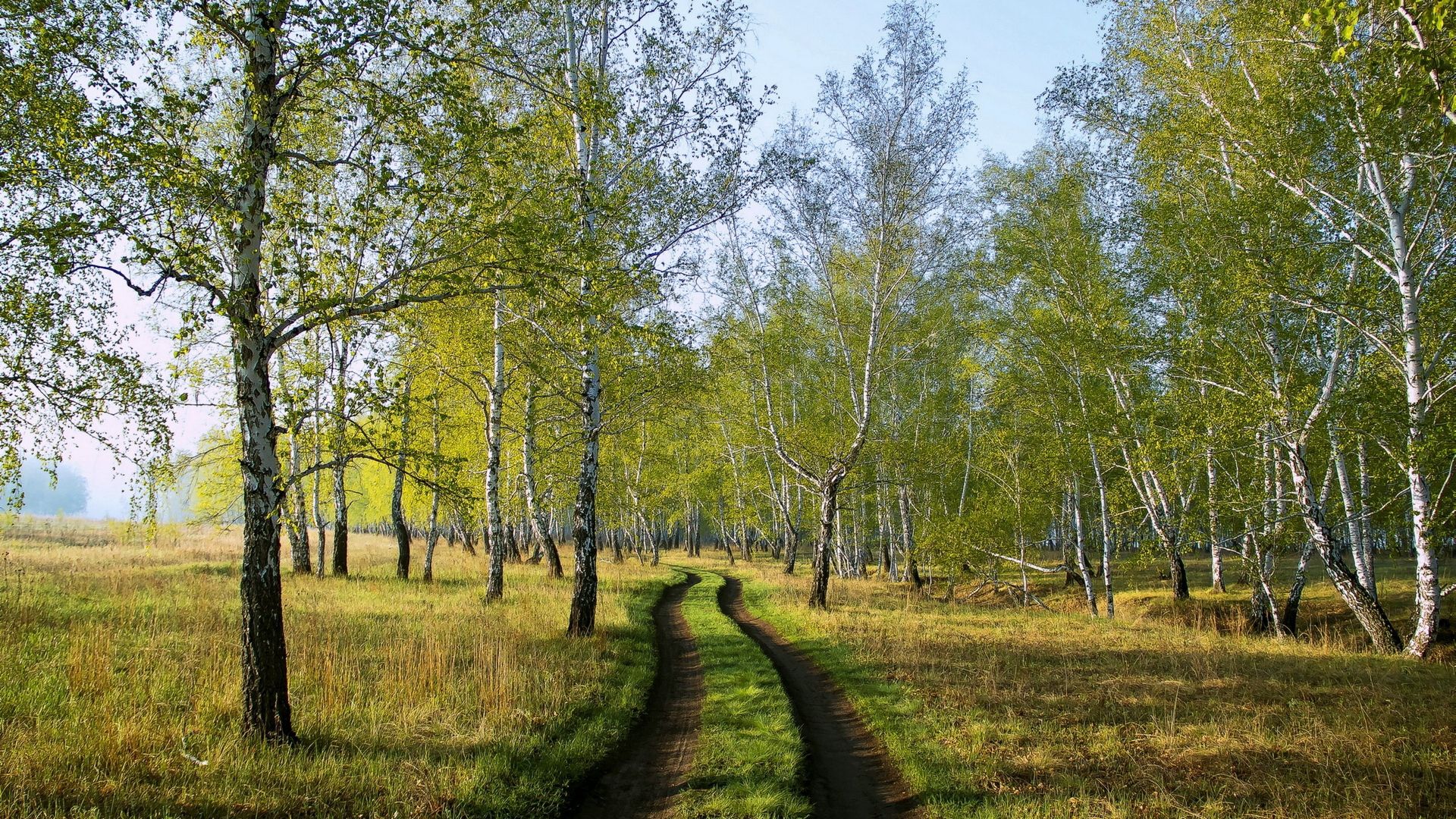 березез, роща