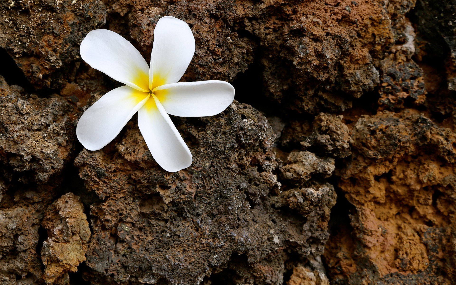 kapak, facebook, hike