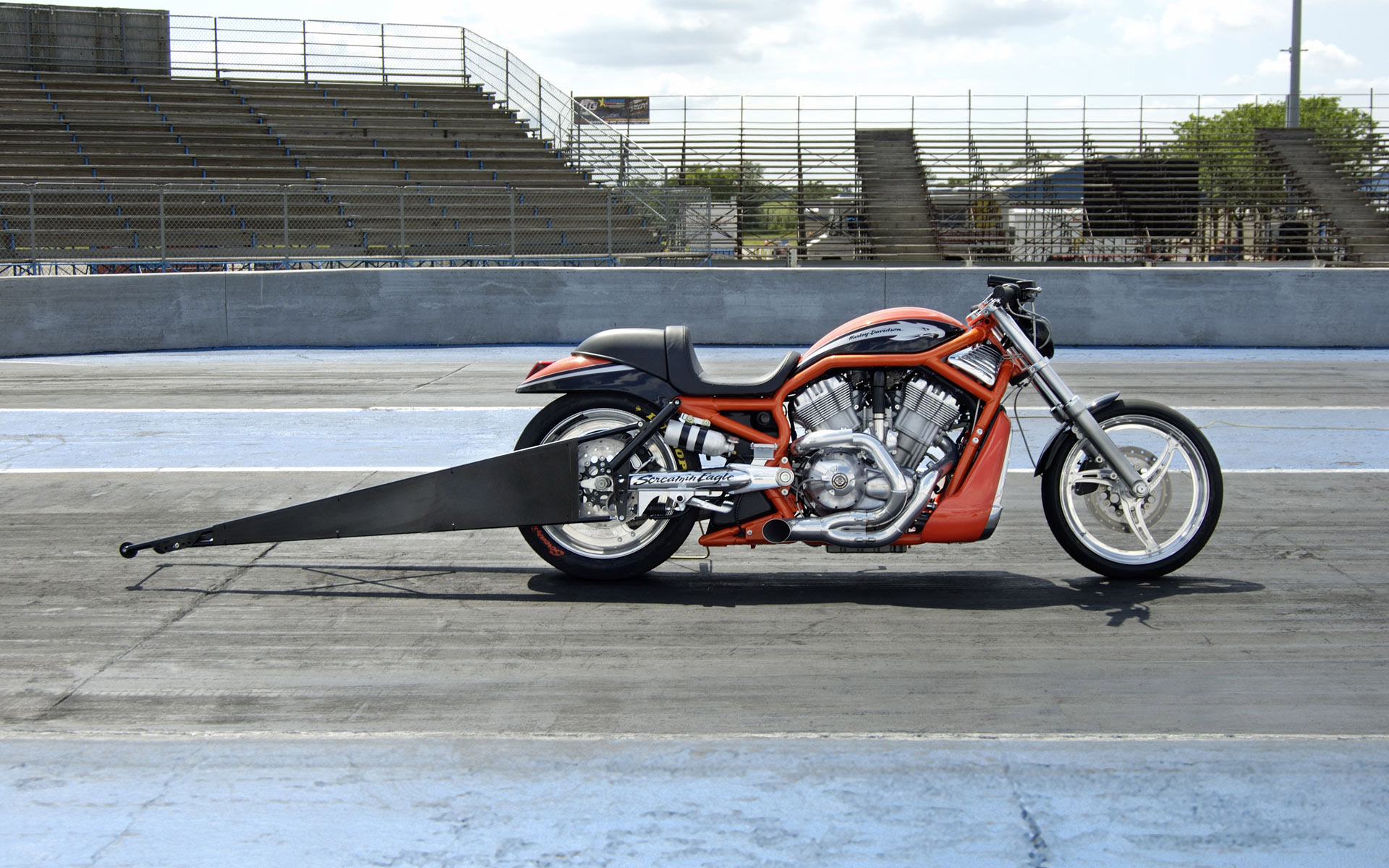 harley, davidson, eagle