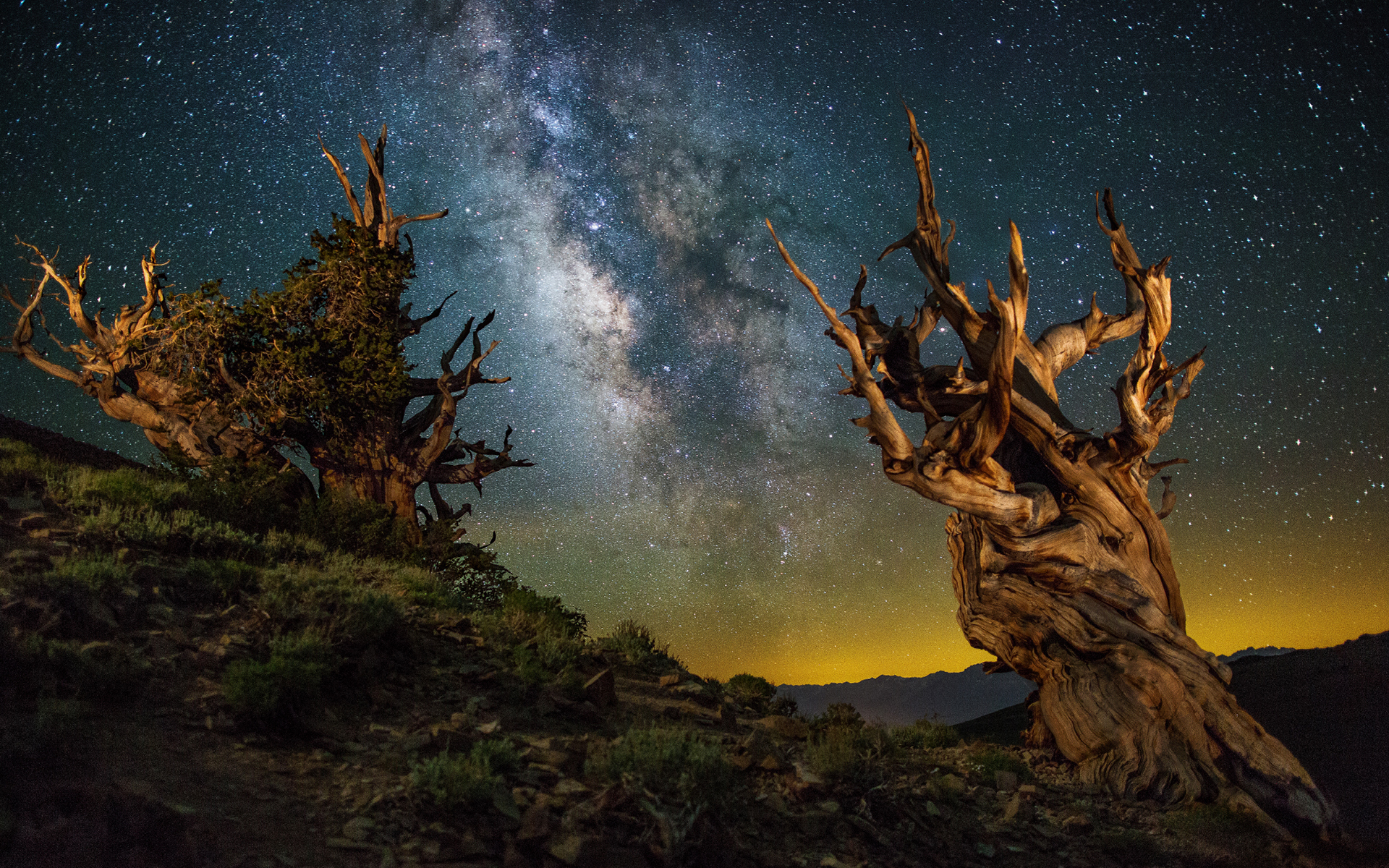 черный, болван, фото