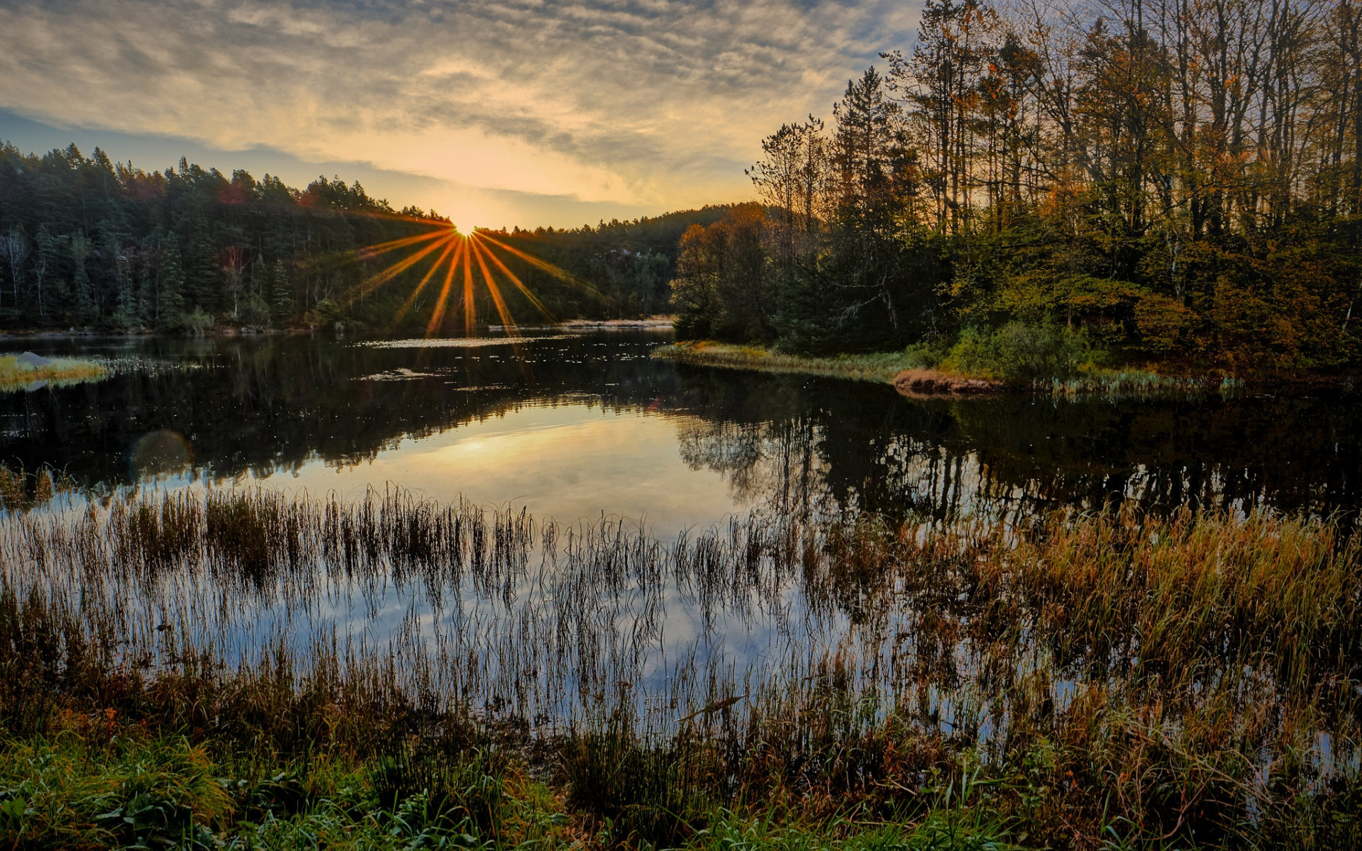 озеро, осень