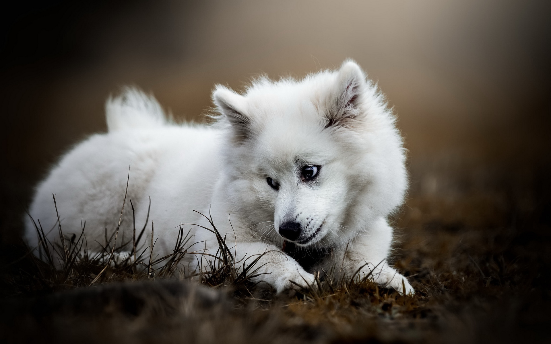 tags: ,, 