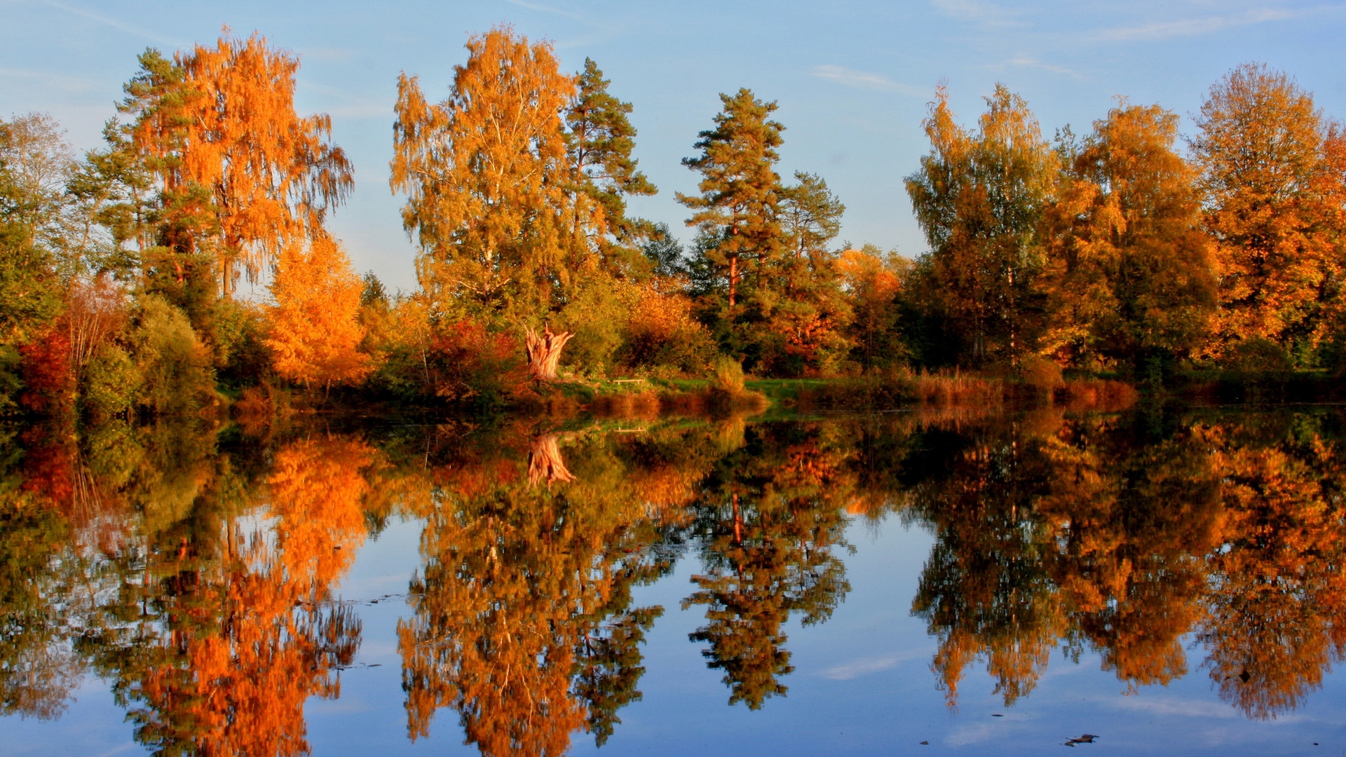 осень, природа, регистрации