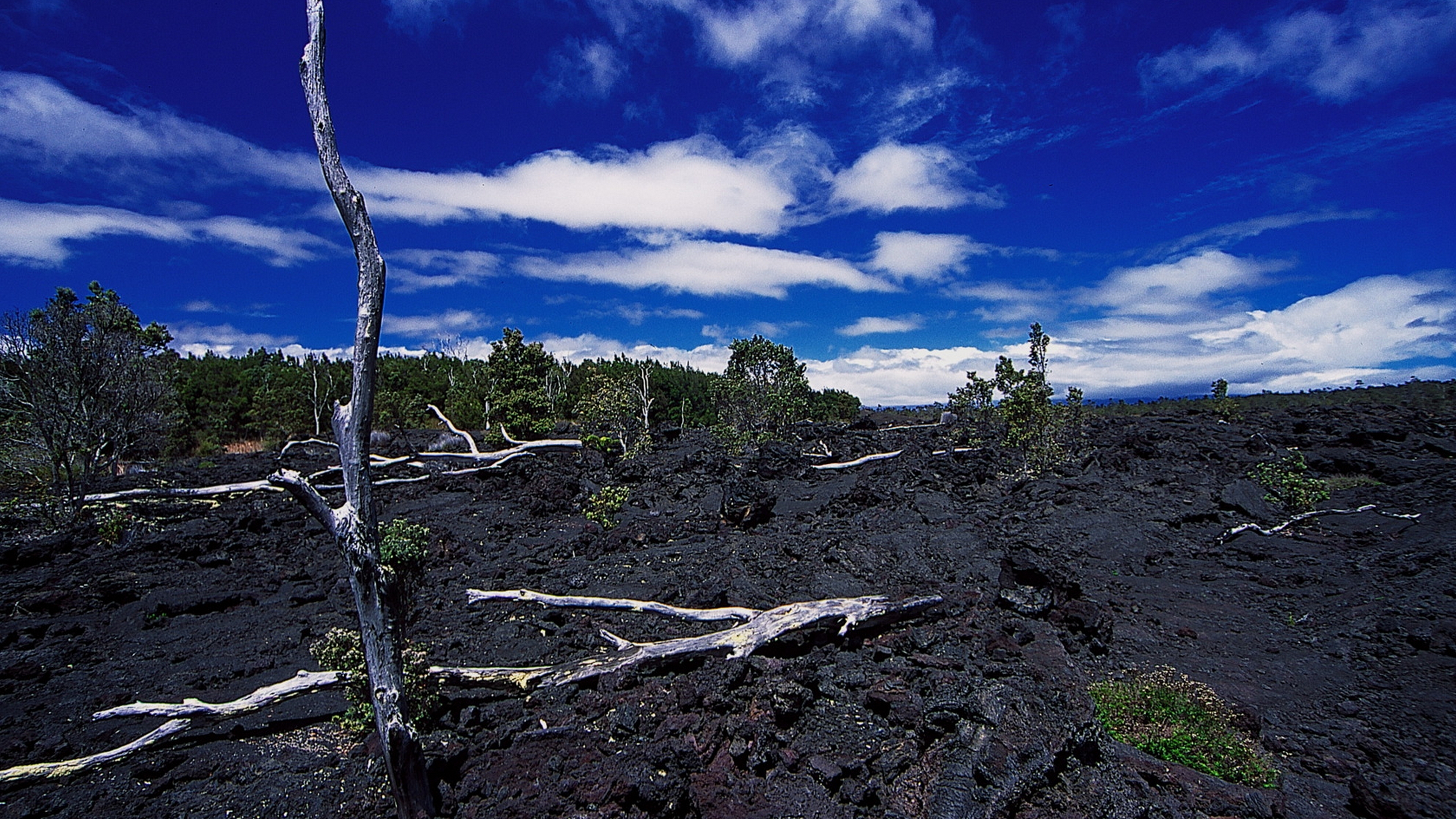пустыня, природа