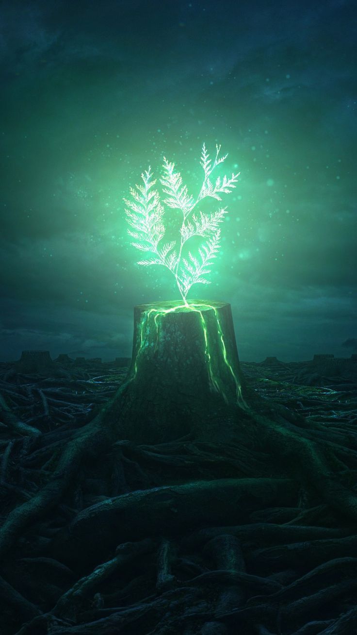 мир, искусство, плэйлист