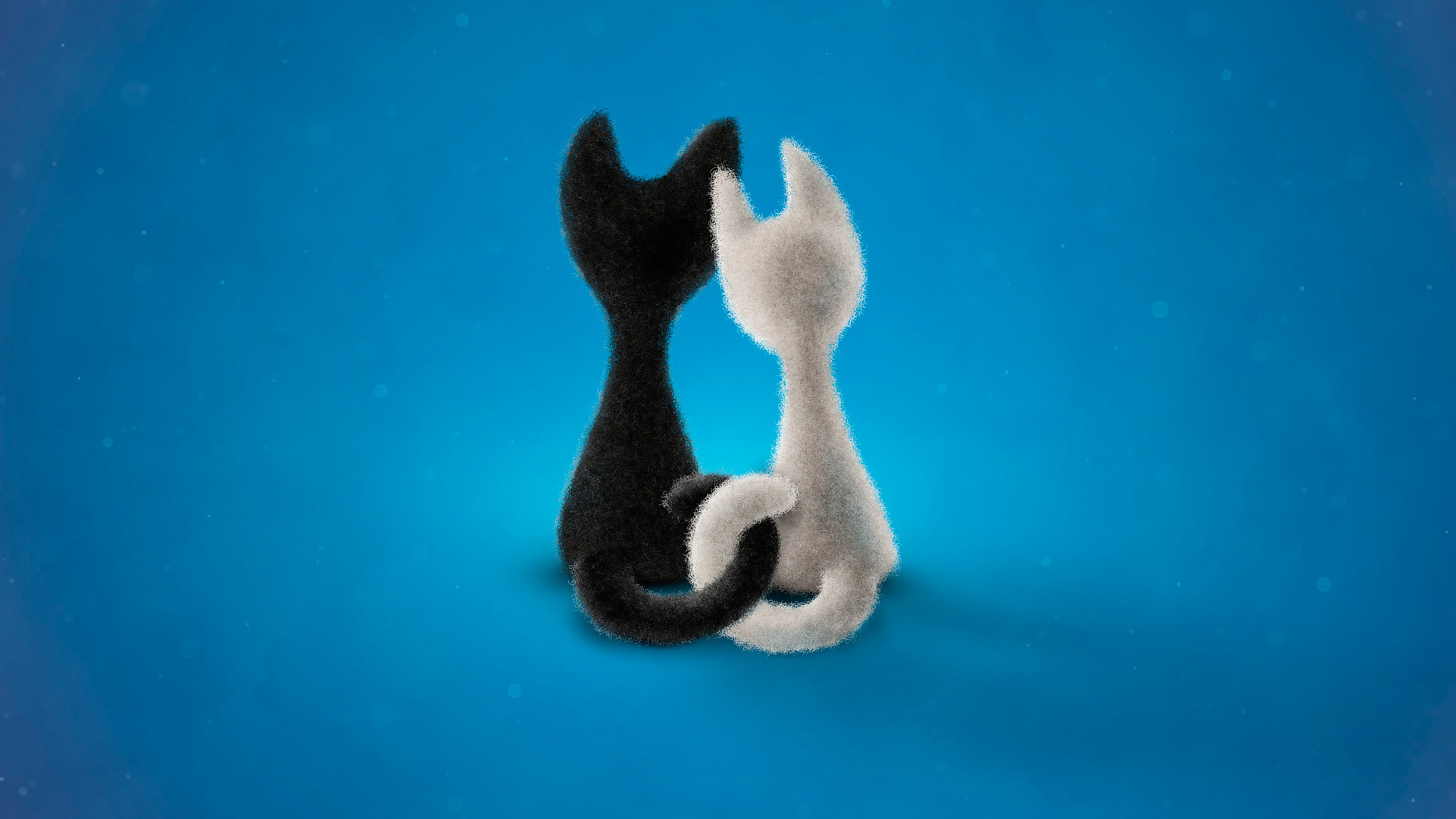 кот, белый, влад