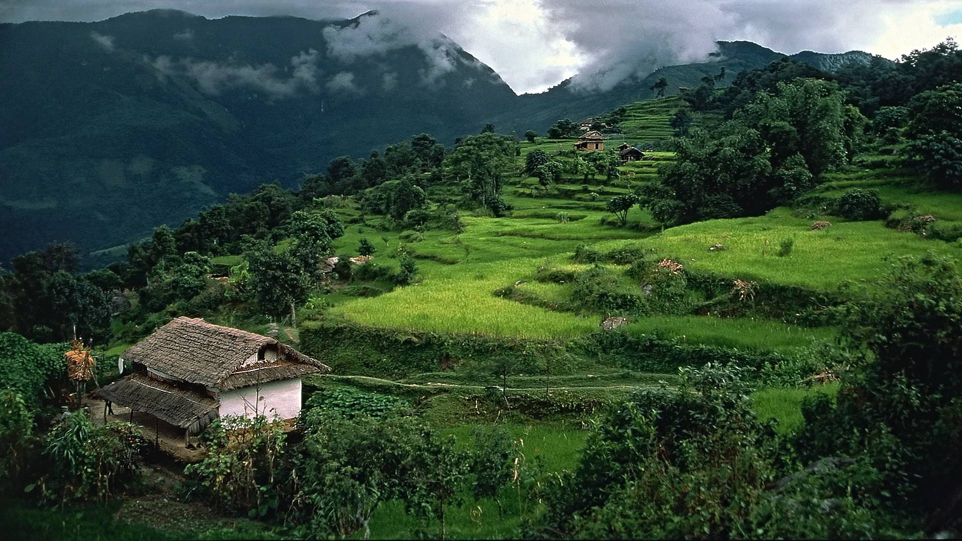 nepal, country