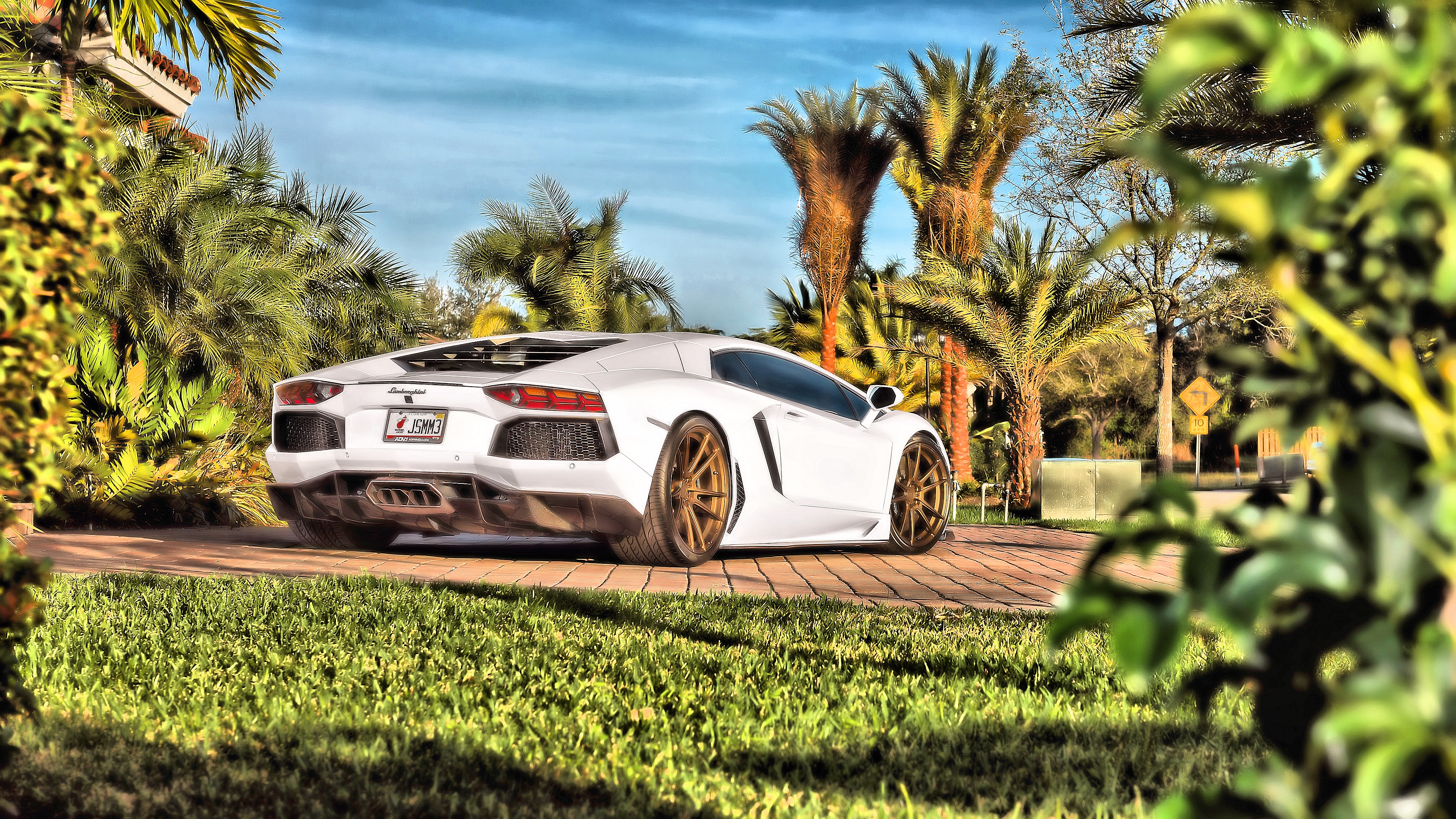aventador, car