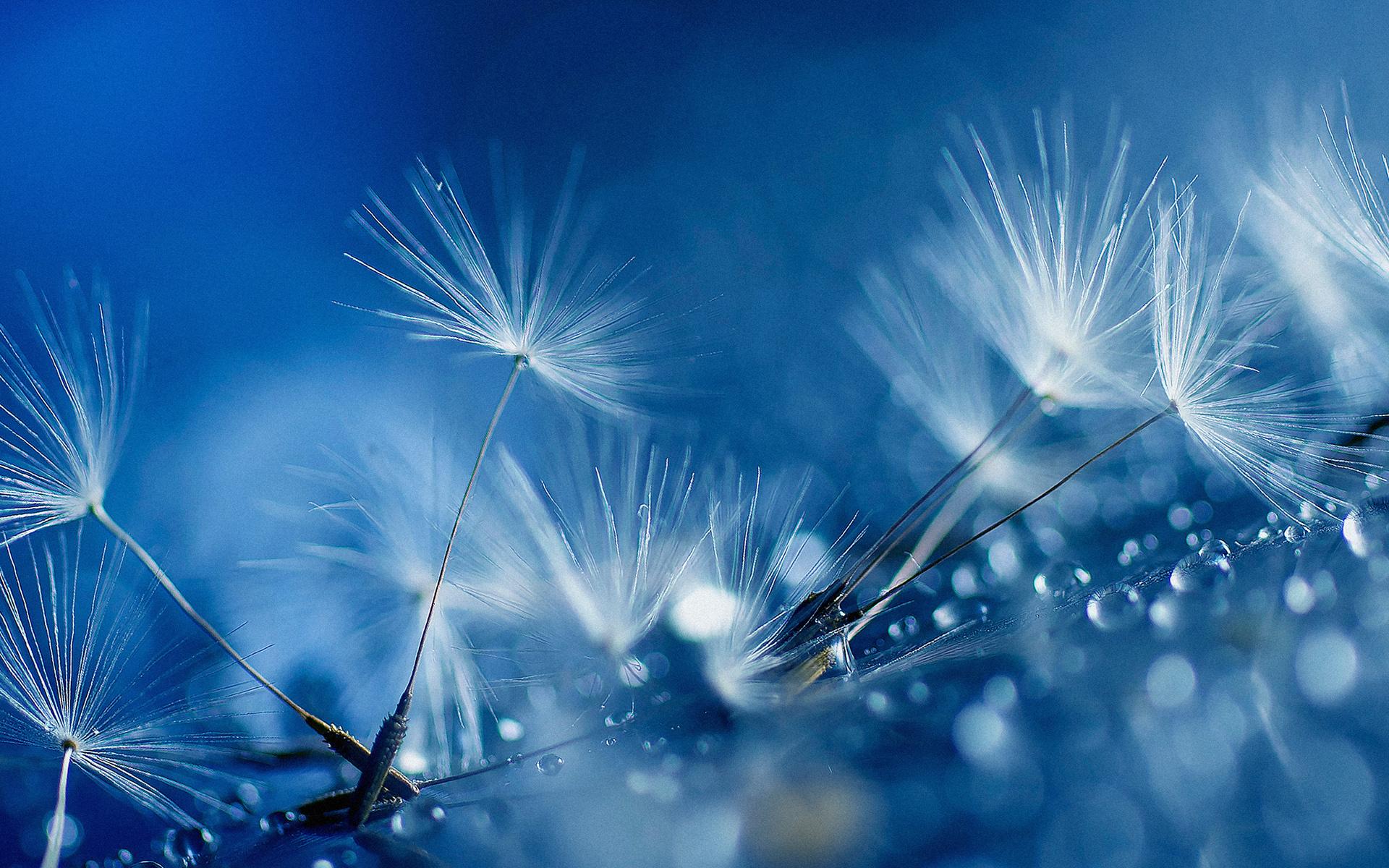 htc, one, sense Фон № 124479 разрешение 1920x1200