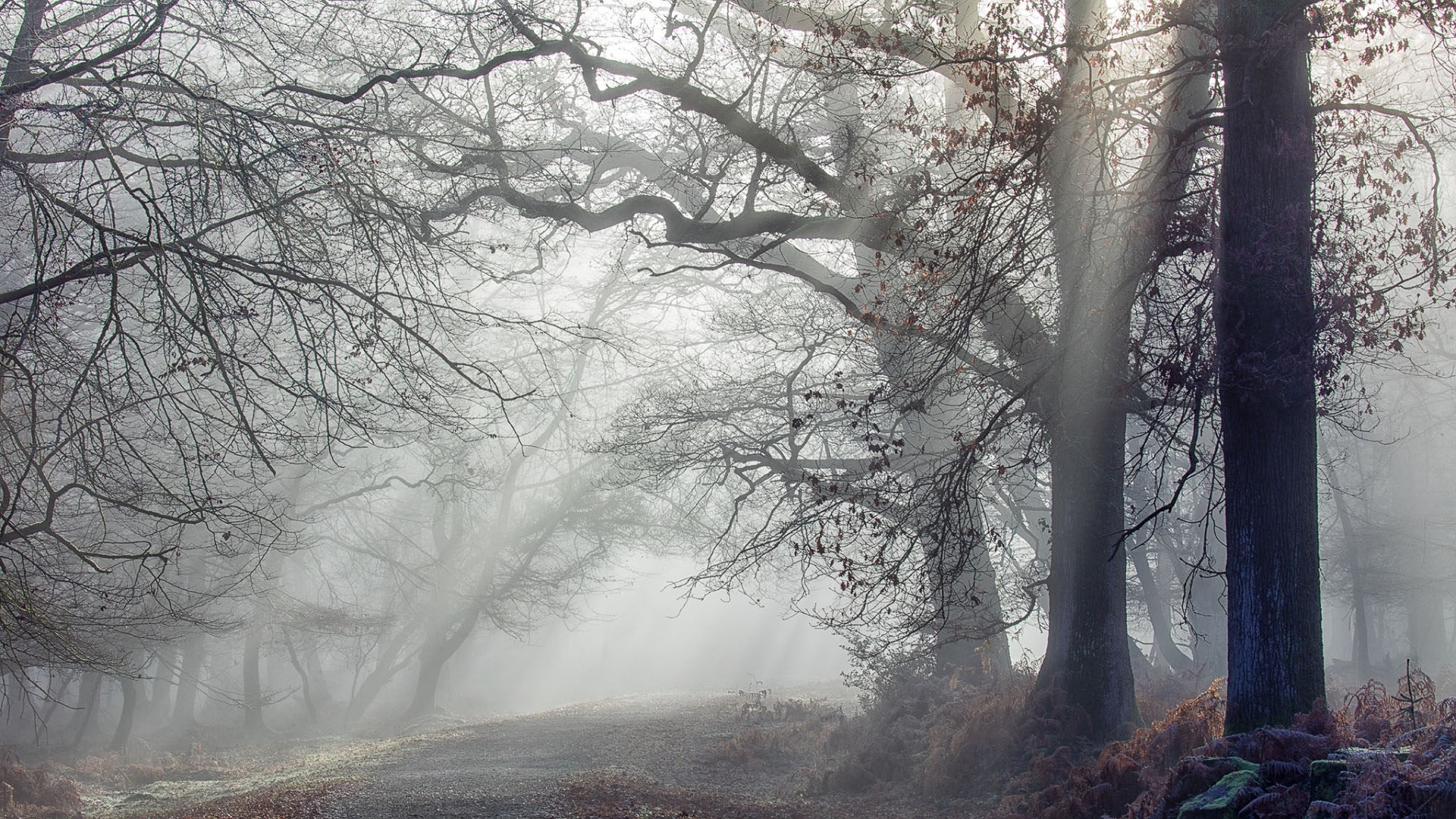 передвижной, массовый