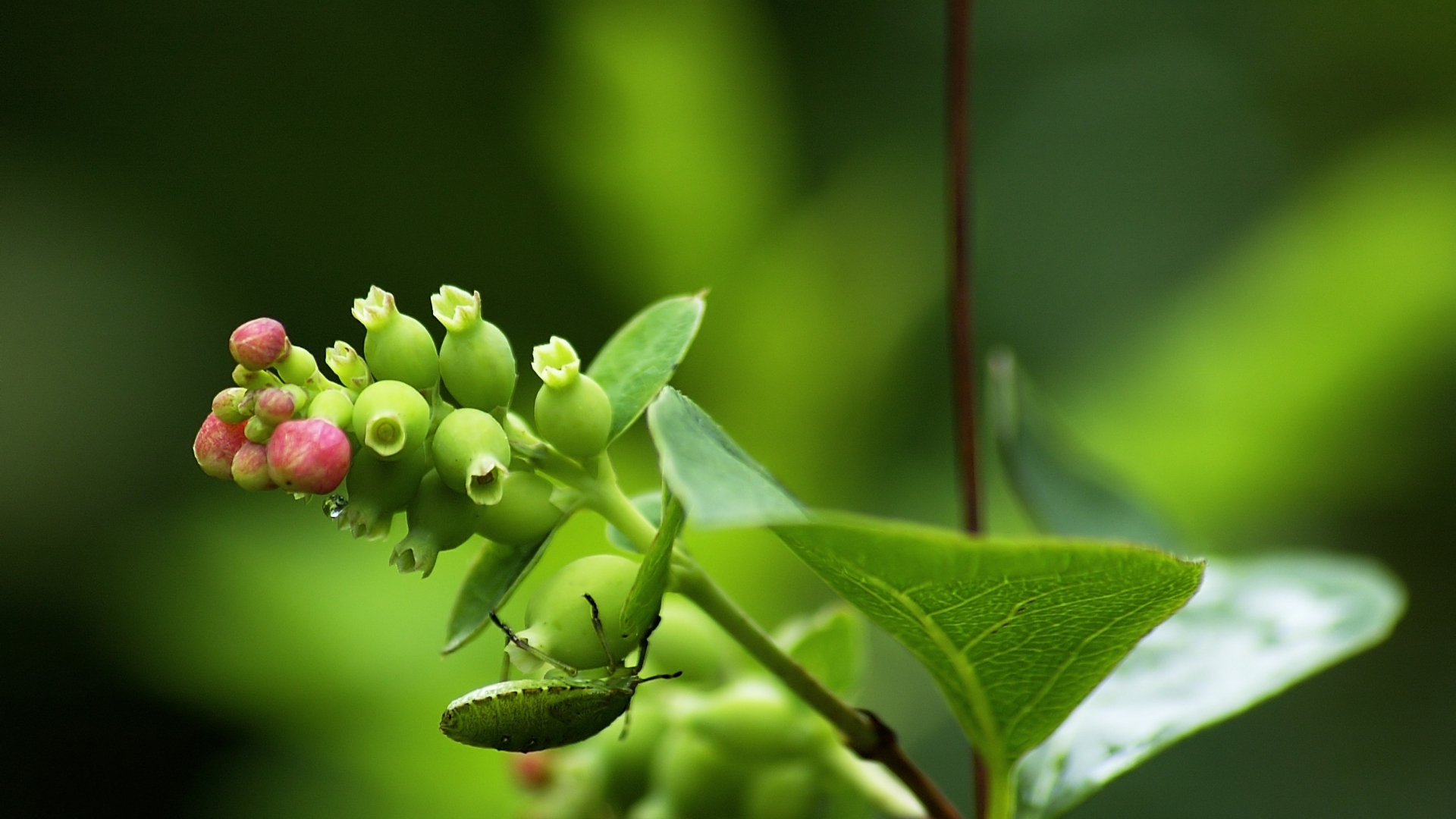 nature, best