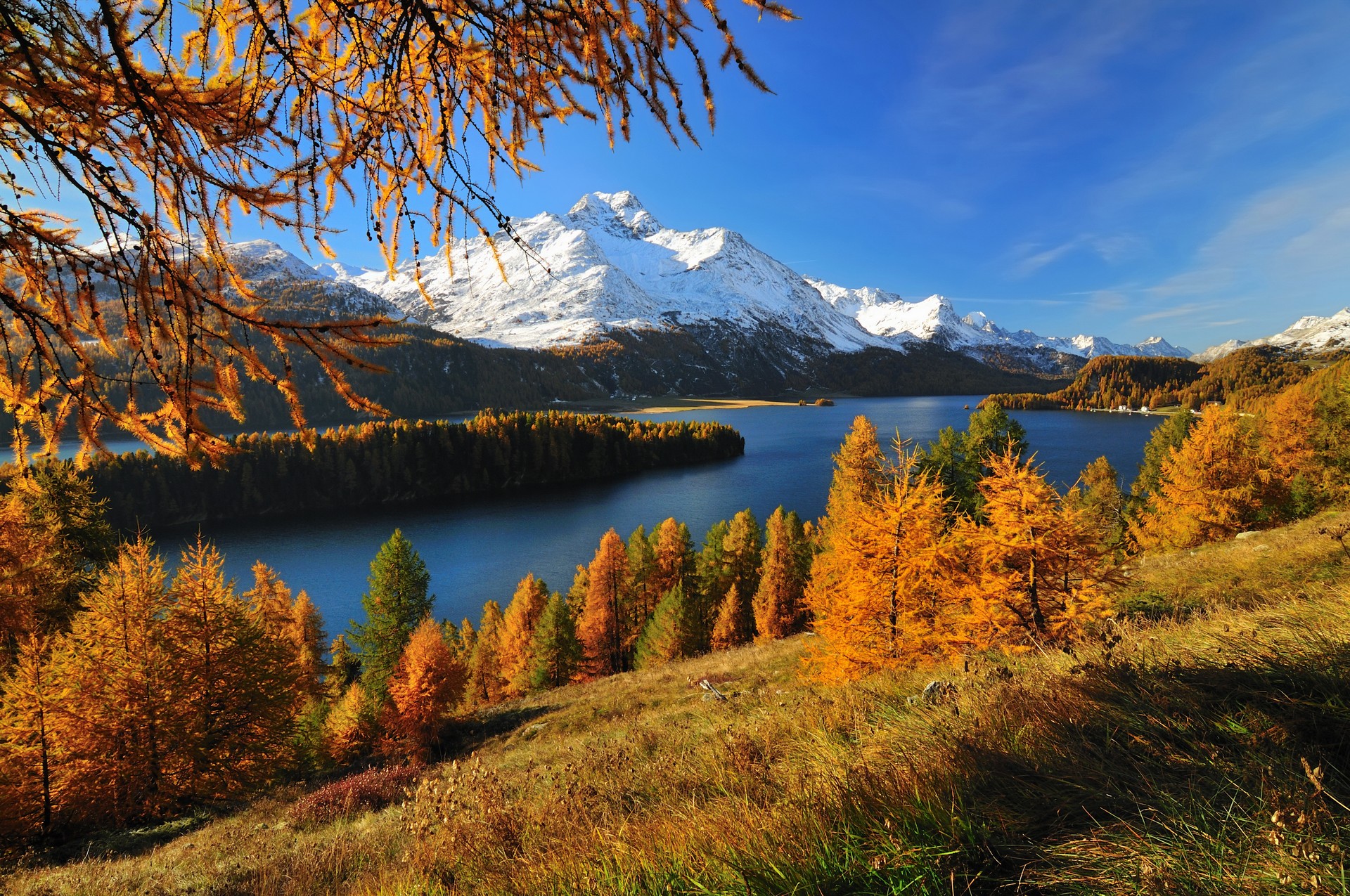 гора, осень, красивый