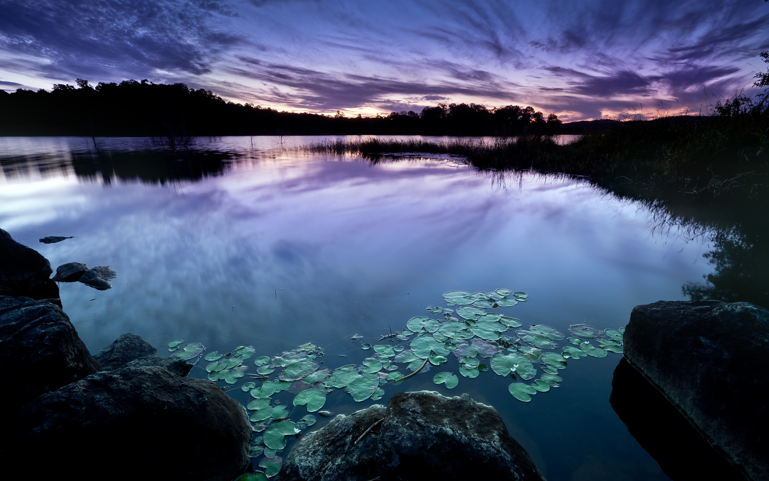 zen, ecran, ласки