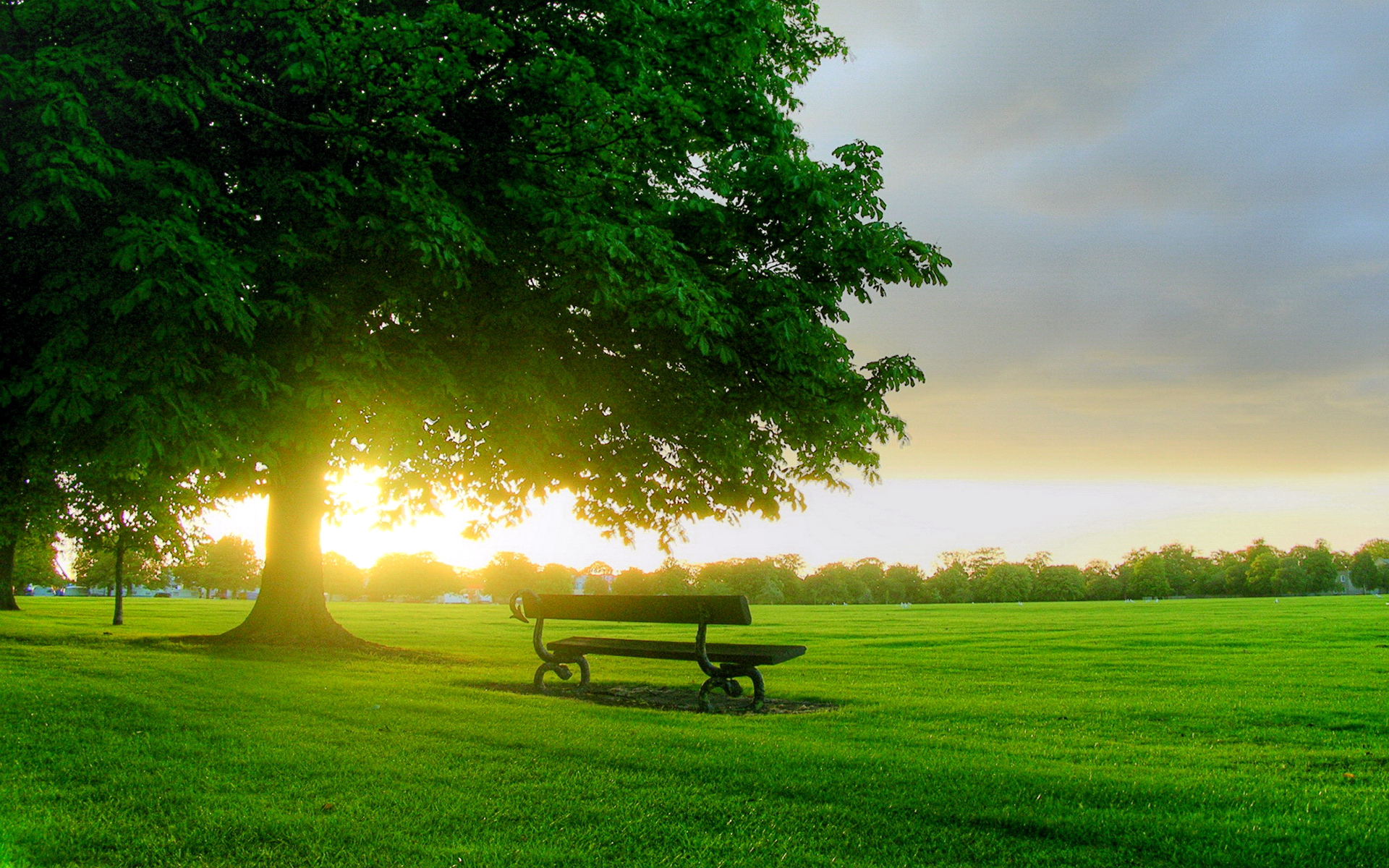 лето, яндекс