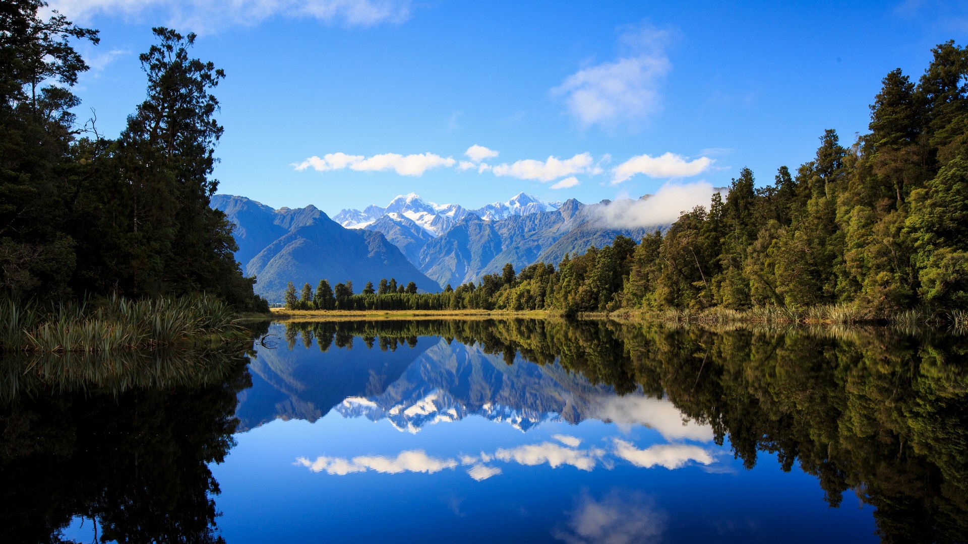 алло, мэтисон