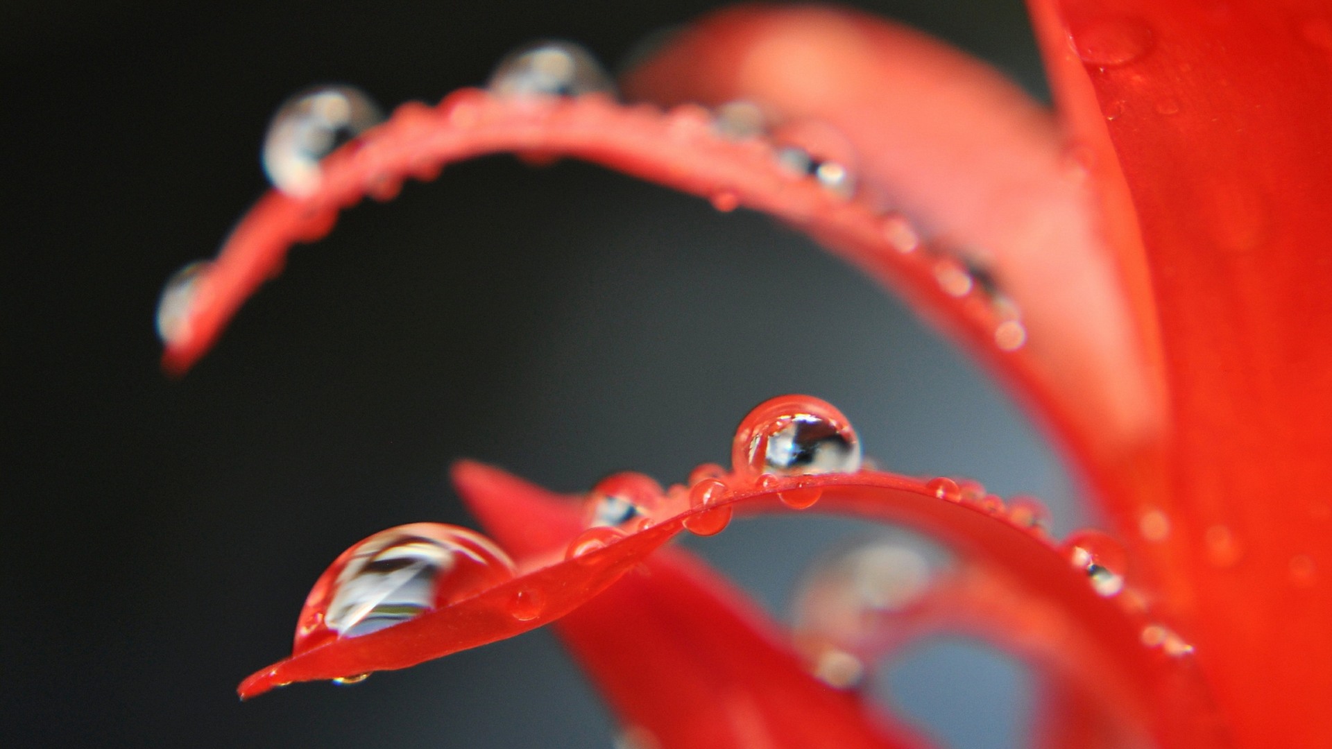 mrwallpaper, comdownload, вода