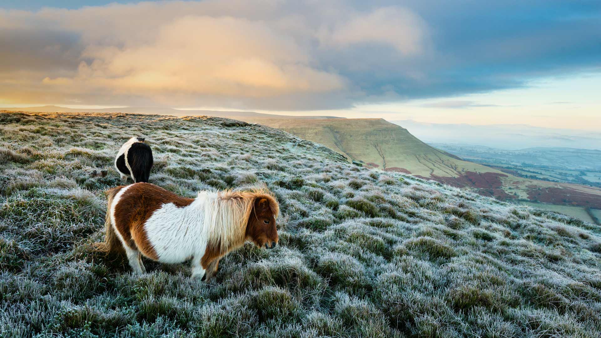 brecon, national, mayk
