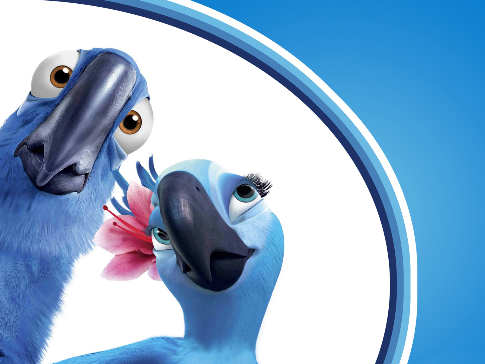 rio, покушается, janeiro