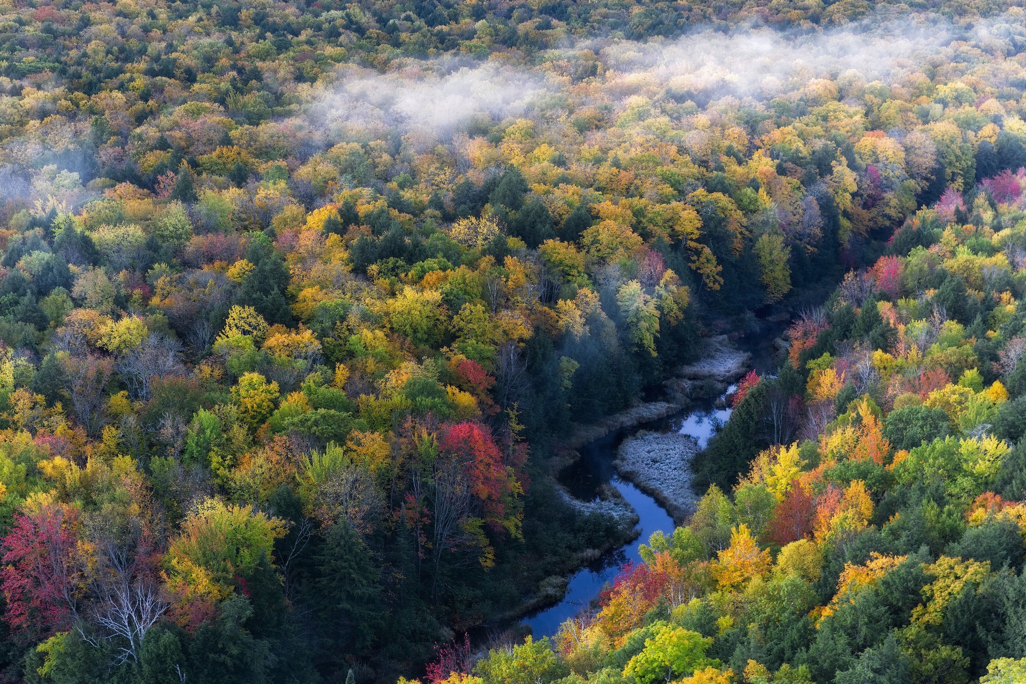 осень, лес, высота