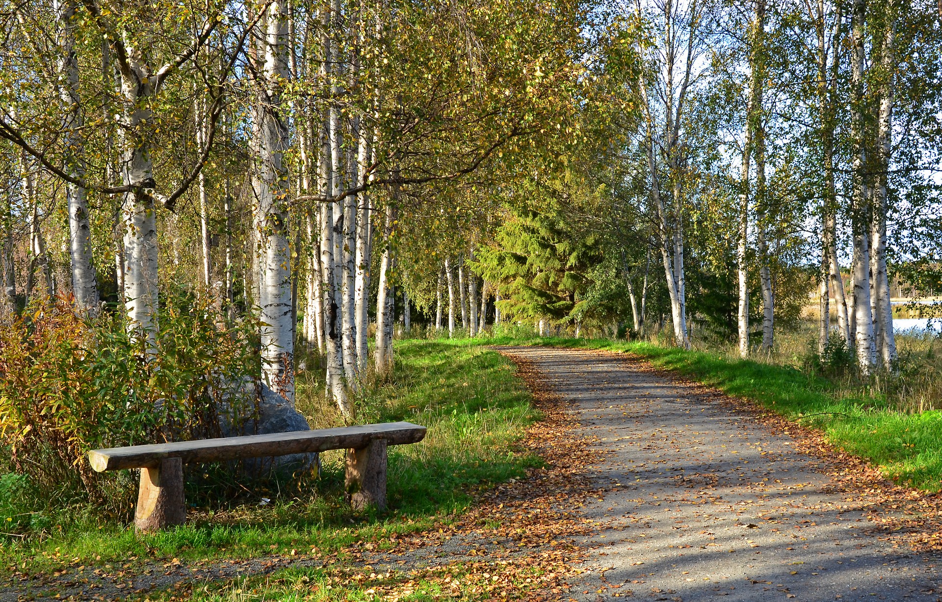 природа, род, аллея
