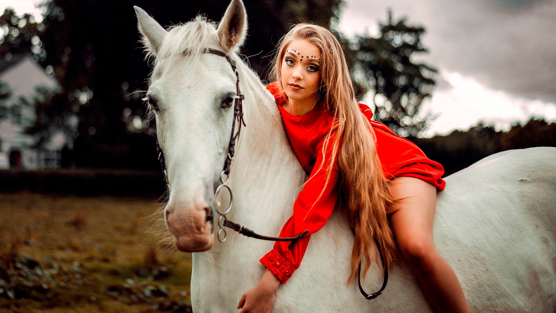 лошадь, макияж, грива