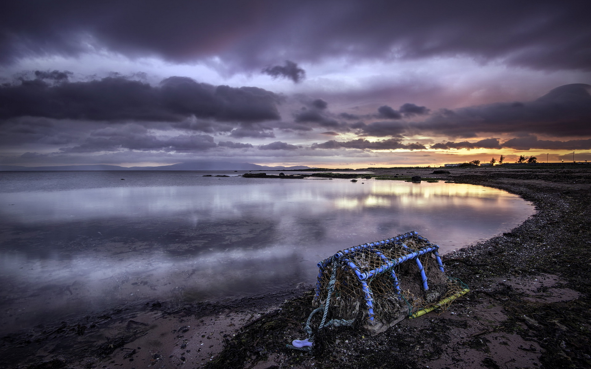 эйршир, фейсбук