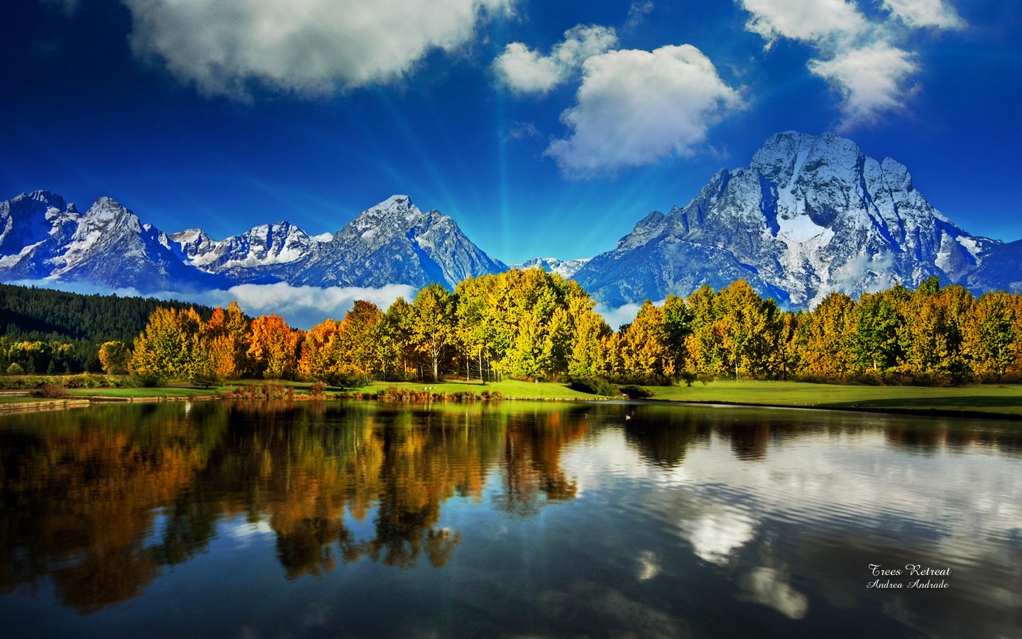 imagens, natureza, para
