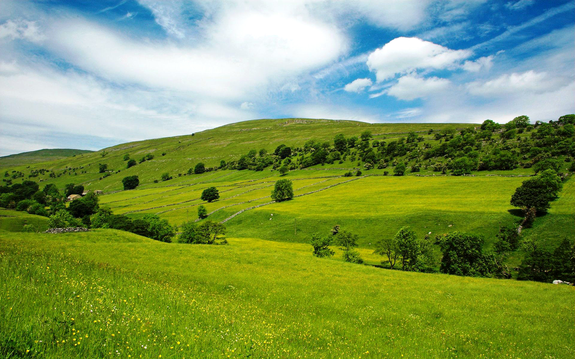 ласки, панталла