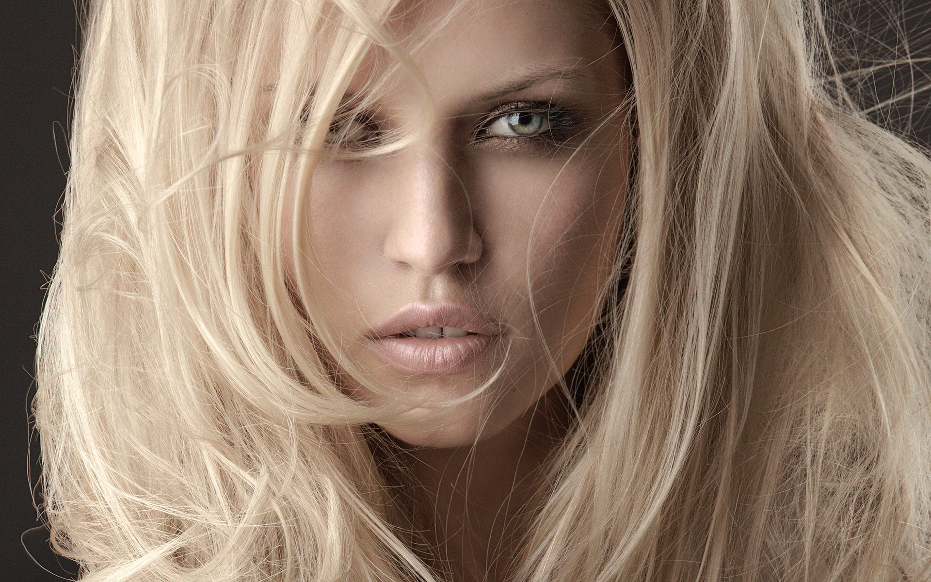 цвет, приличный