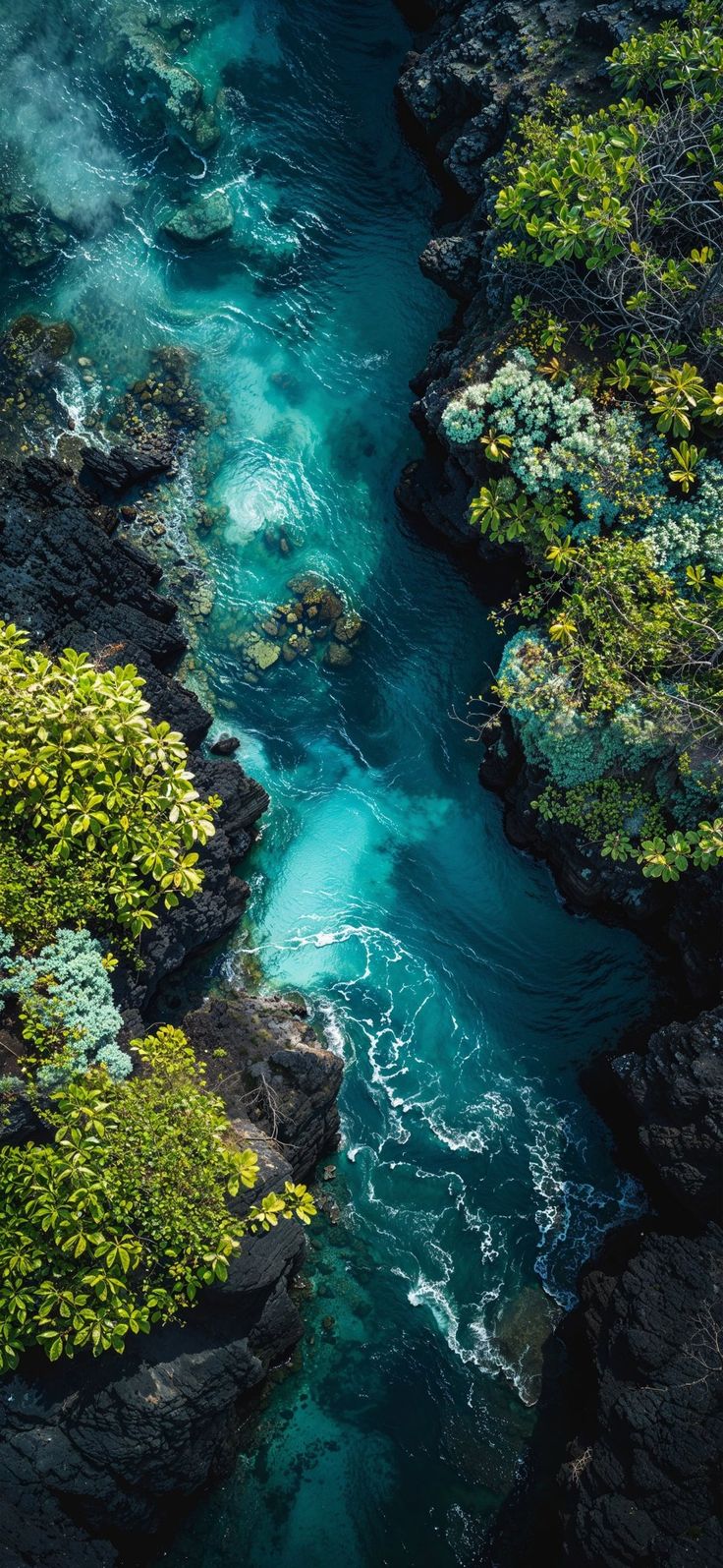 вид с воздуха на реку, протекающую через пышный зеленый лес