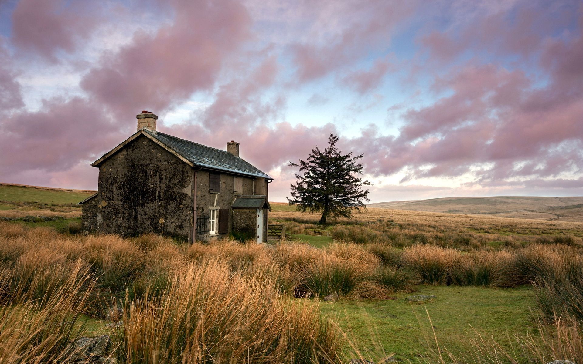 цвет, замк, дом