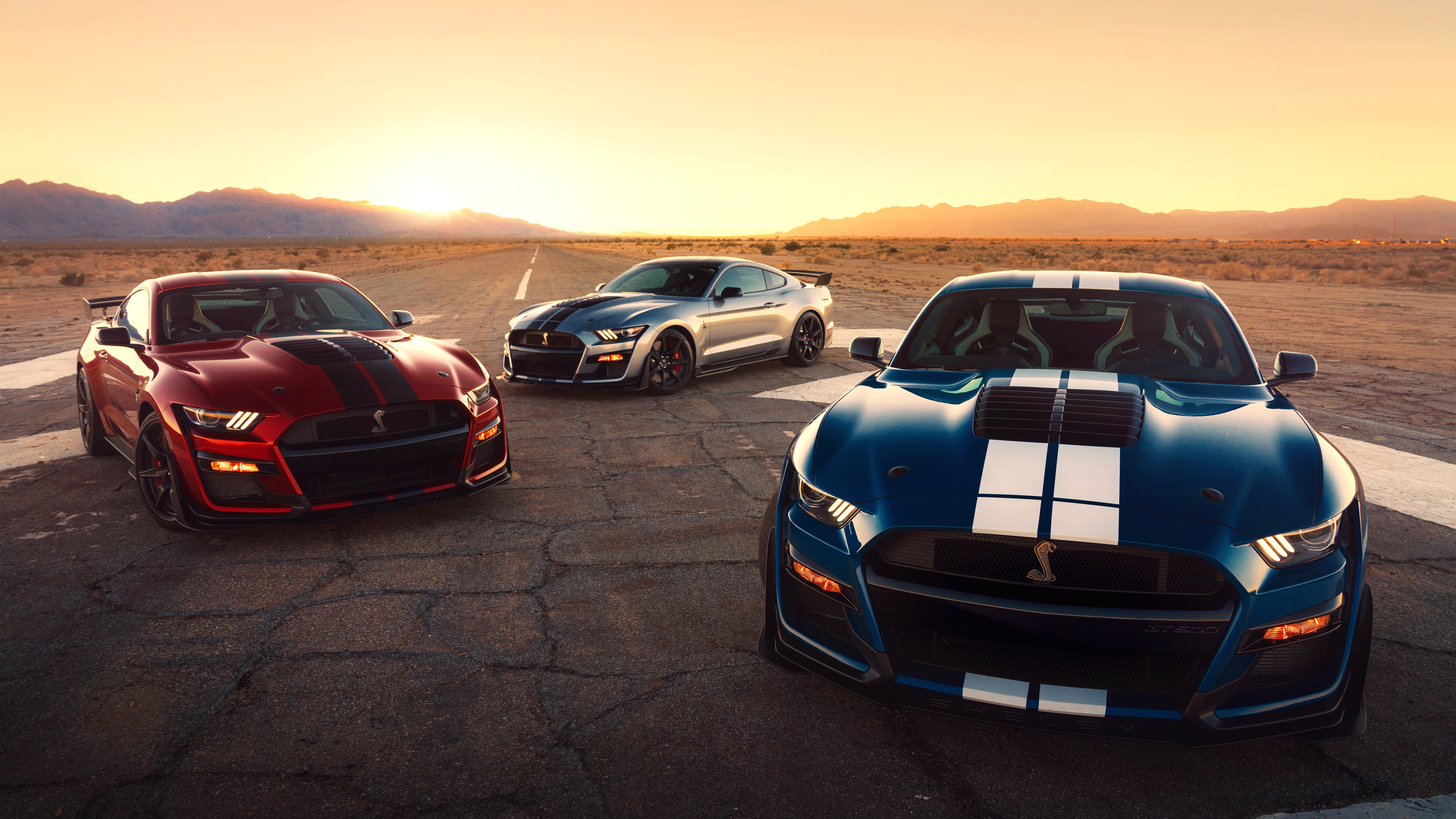 ford, shelby, mustang
