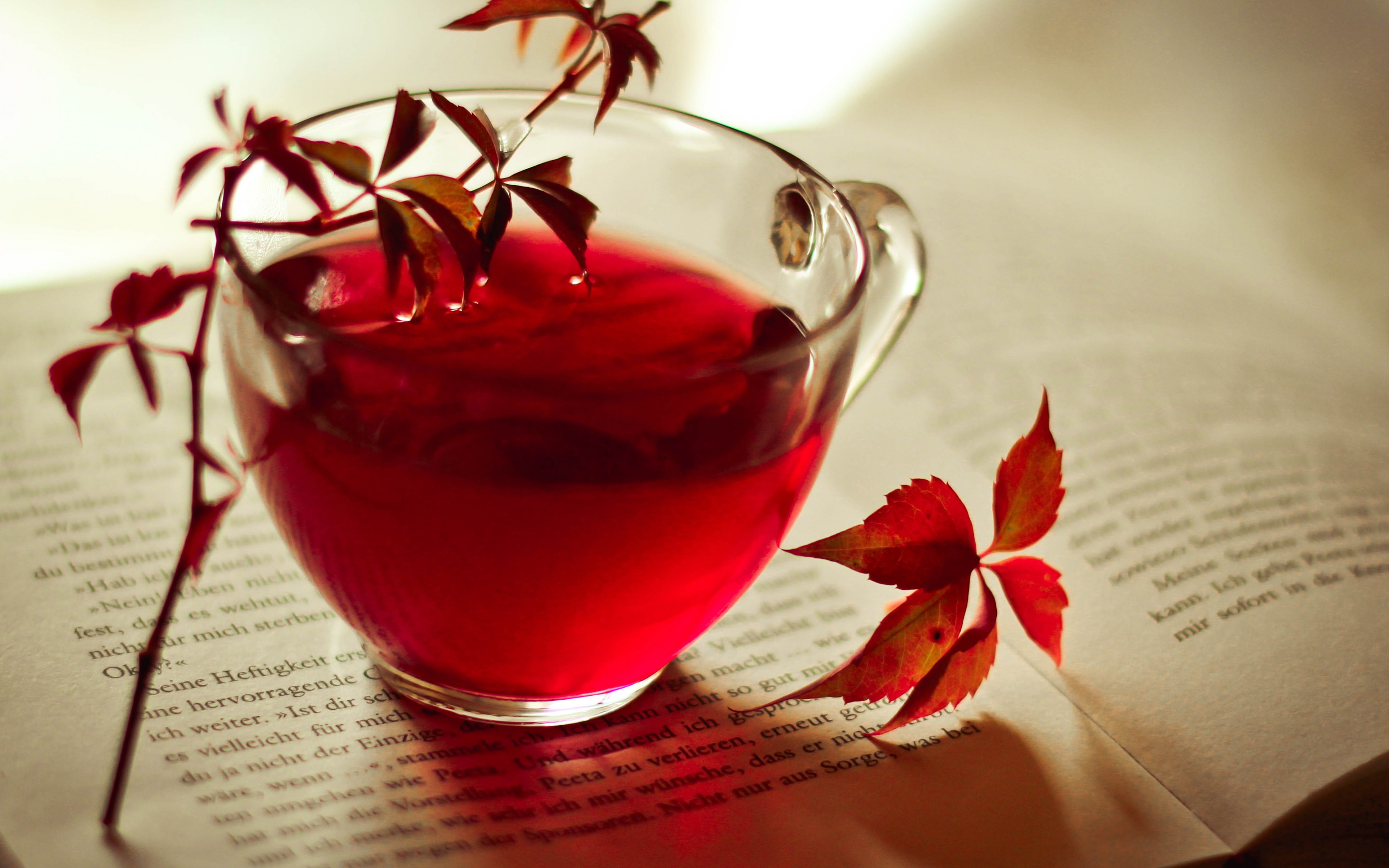 чая, книга, лист