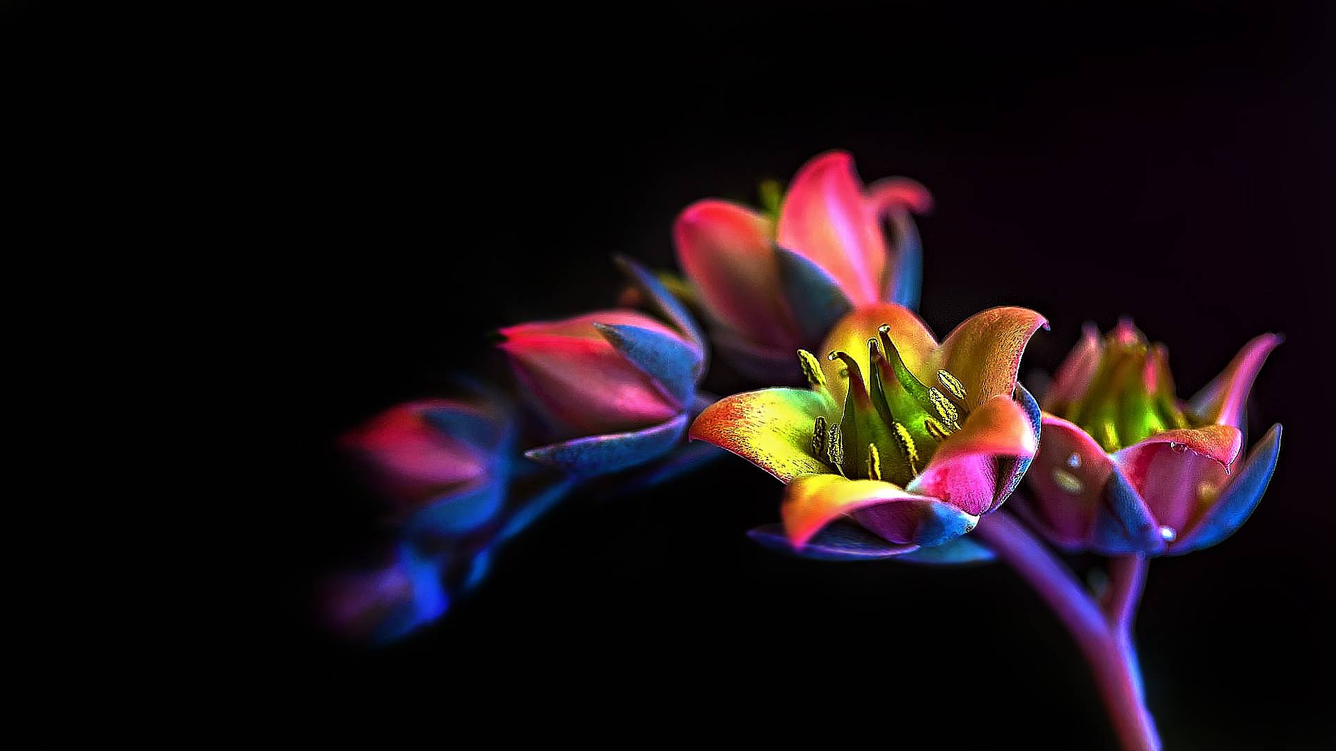 a, a, премиум