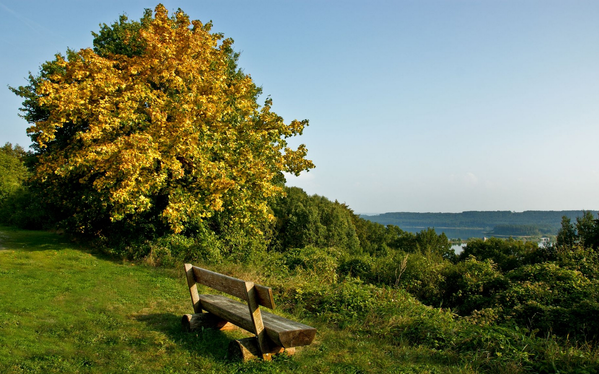 ленточка, дла, сиби