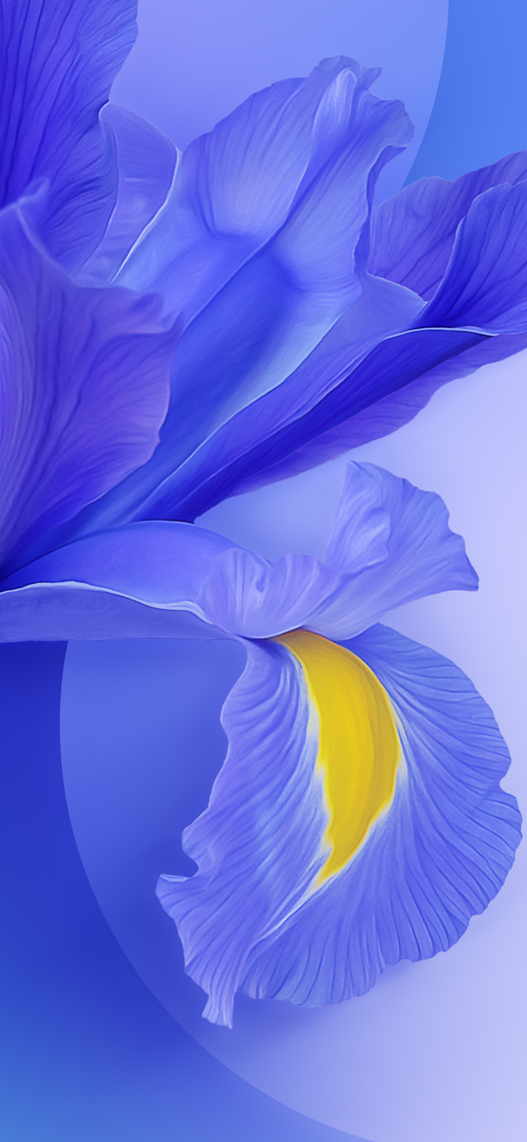 xiaomus, redmus, pro