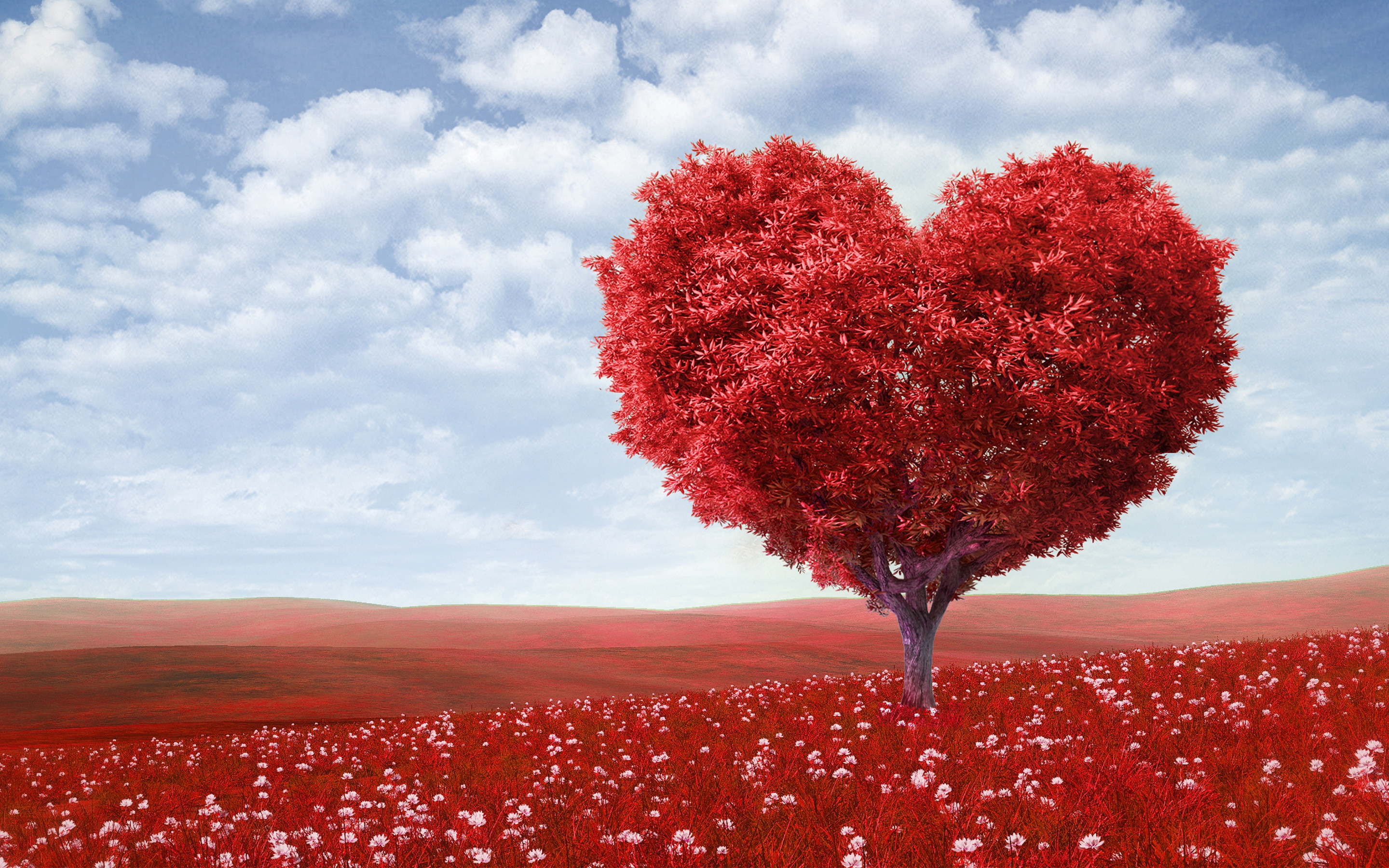 corazón, forma