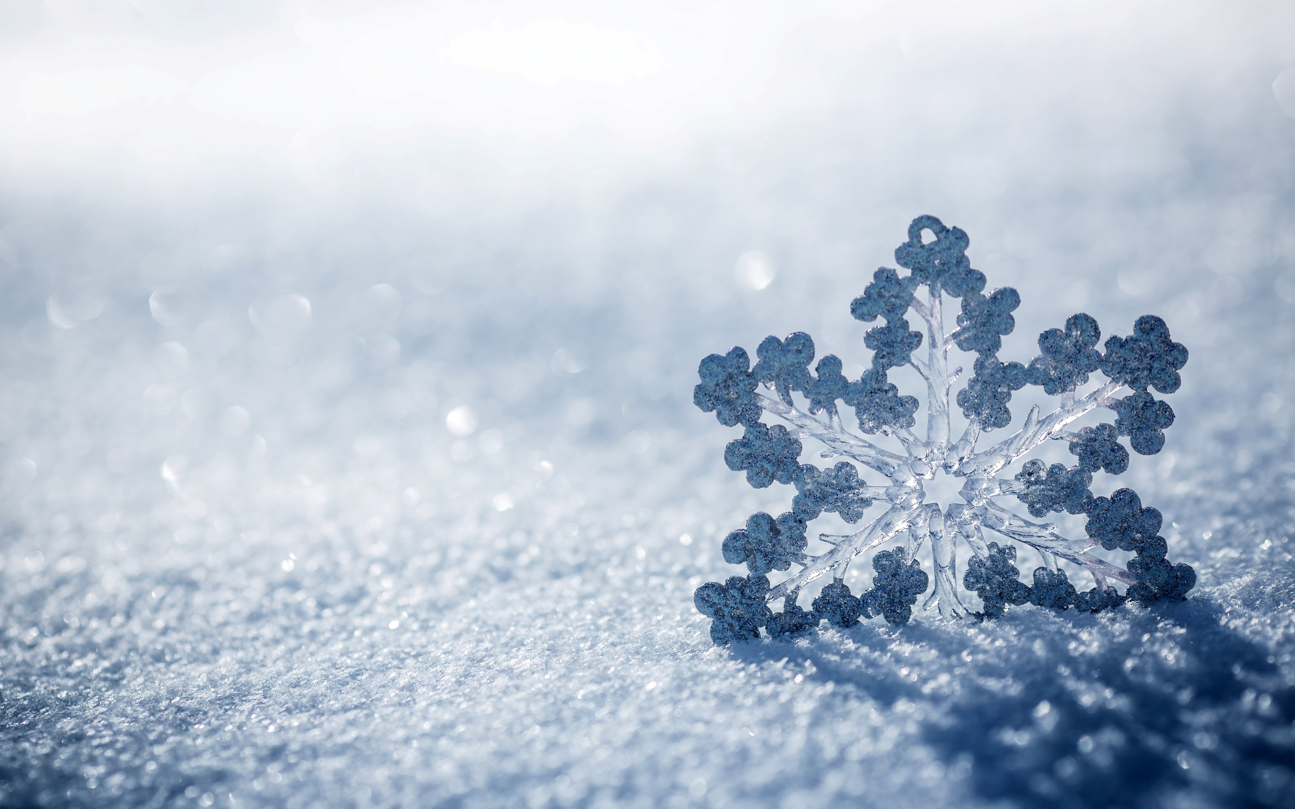 winter, снег, природа