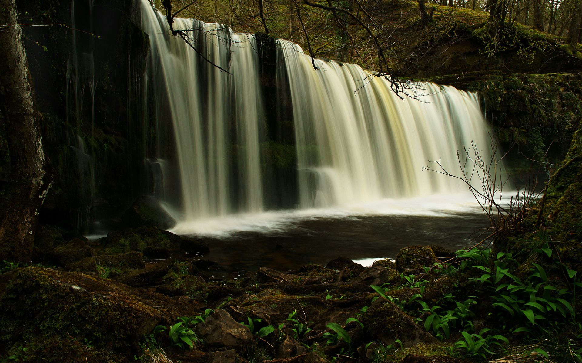 медитация, музыка