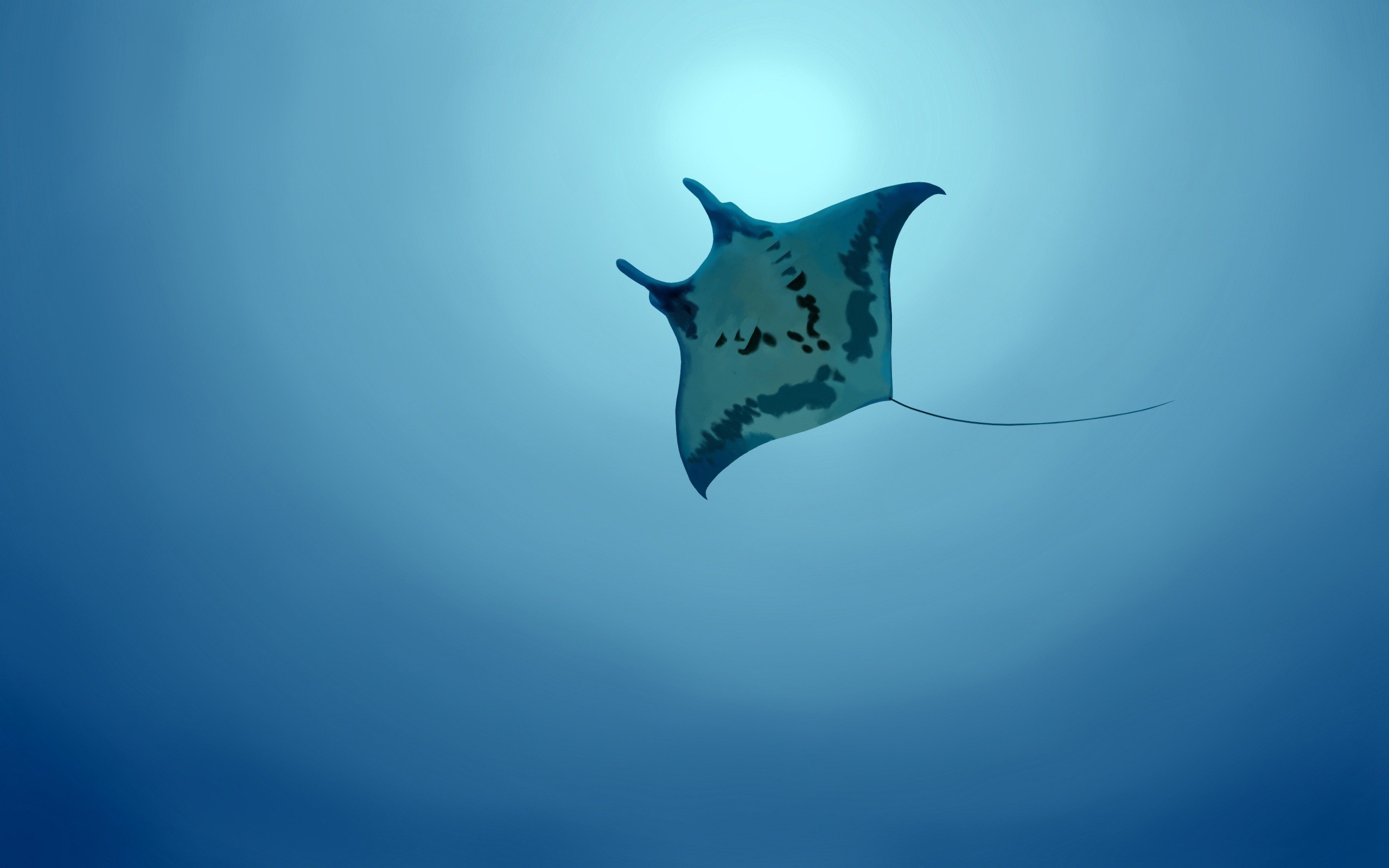 шлюха, морпеха