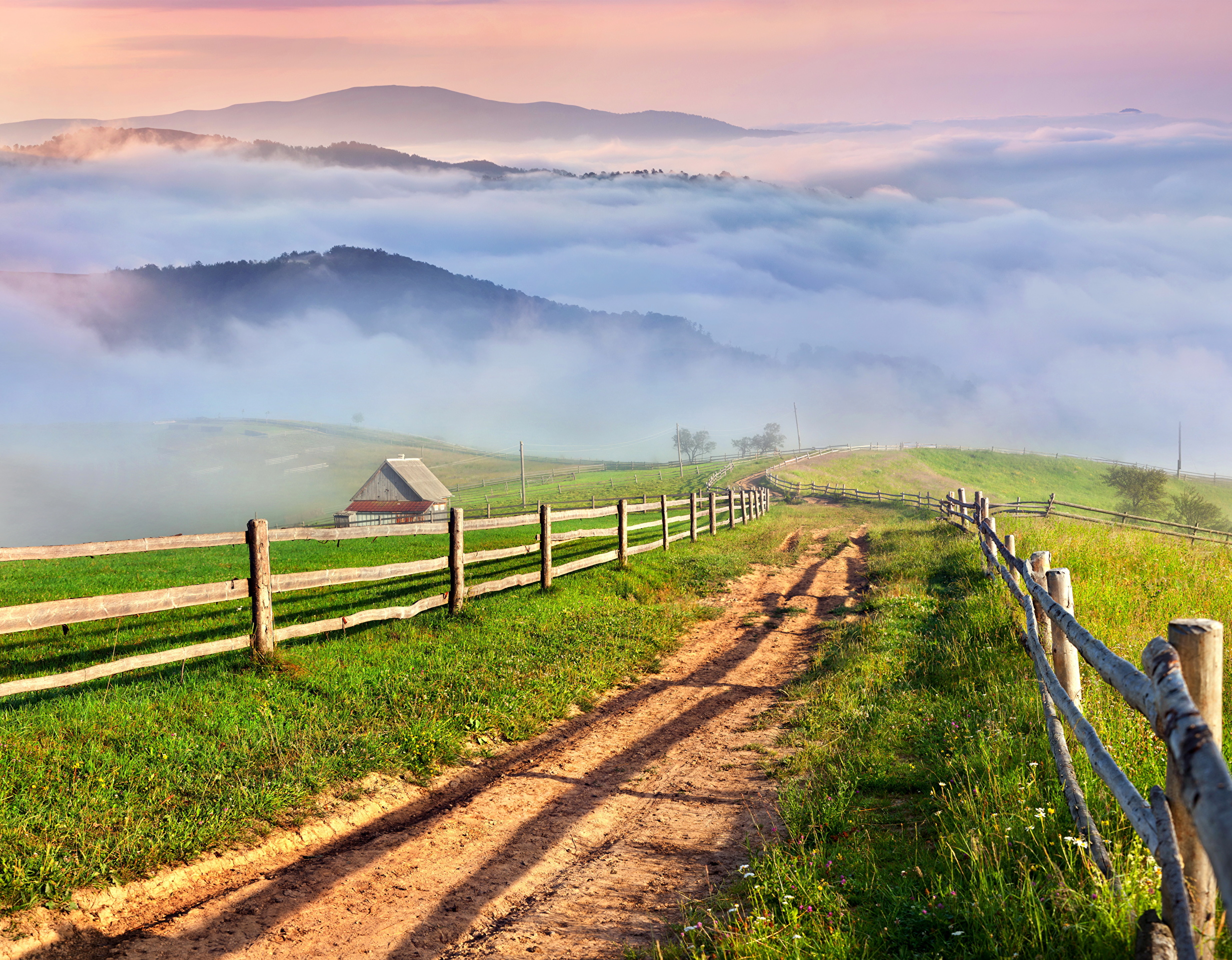 природа, деревня, луга
